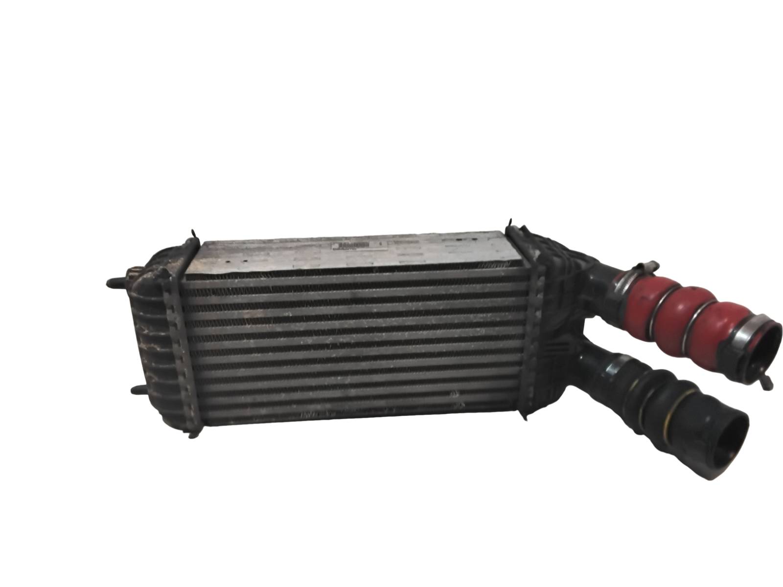 Tubo Entrata Scambiatore Aria/aria (Behr) 9803900780 CW966003 Usato