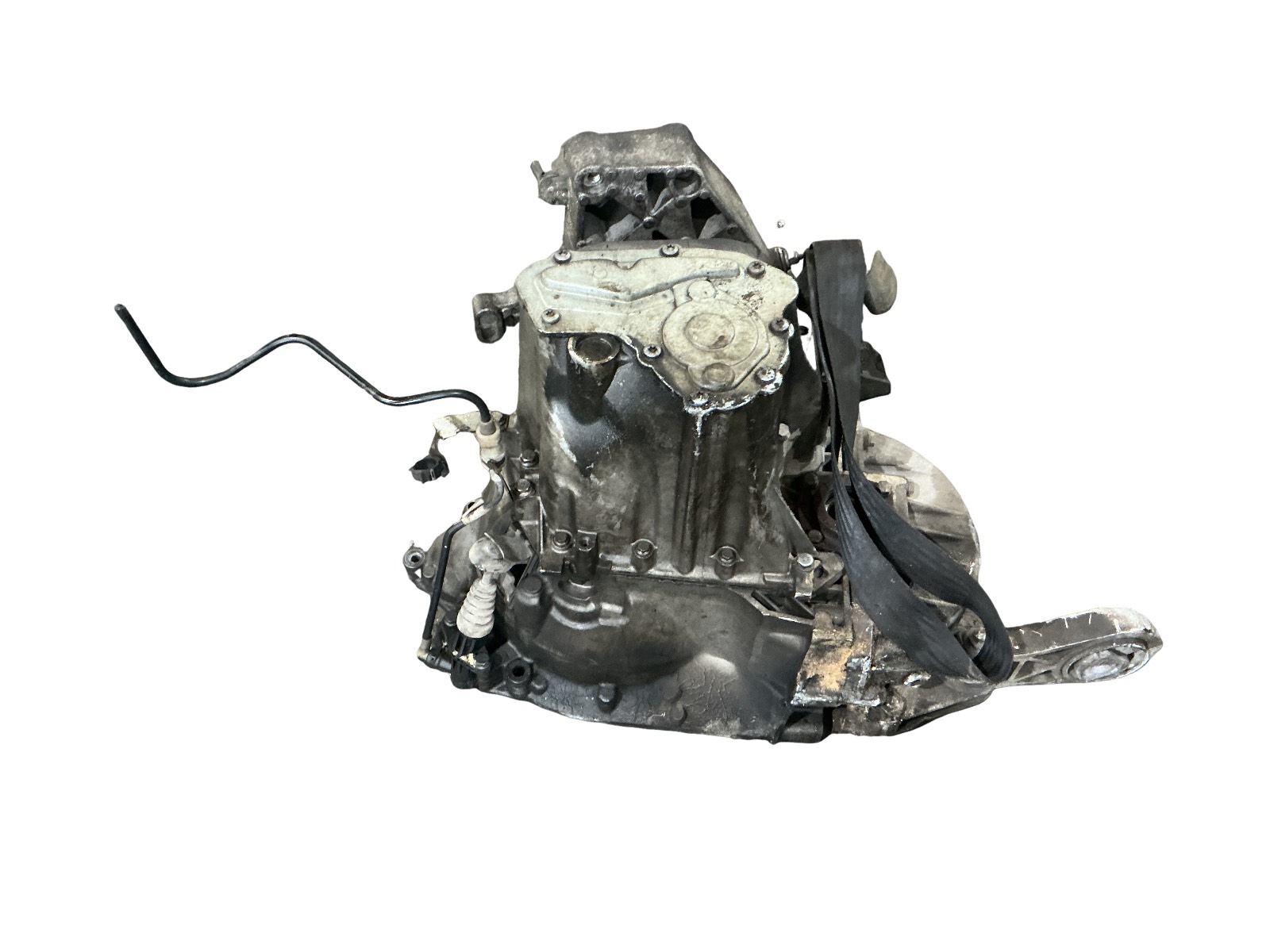 Miniatura 5