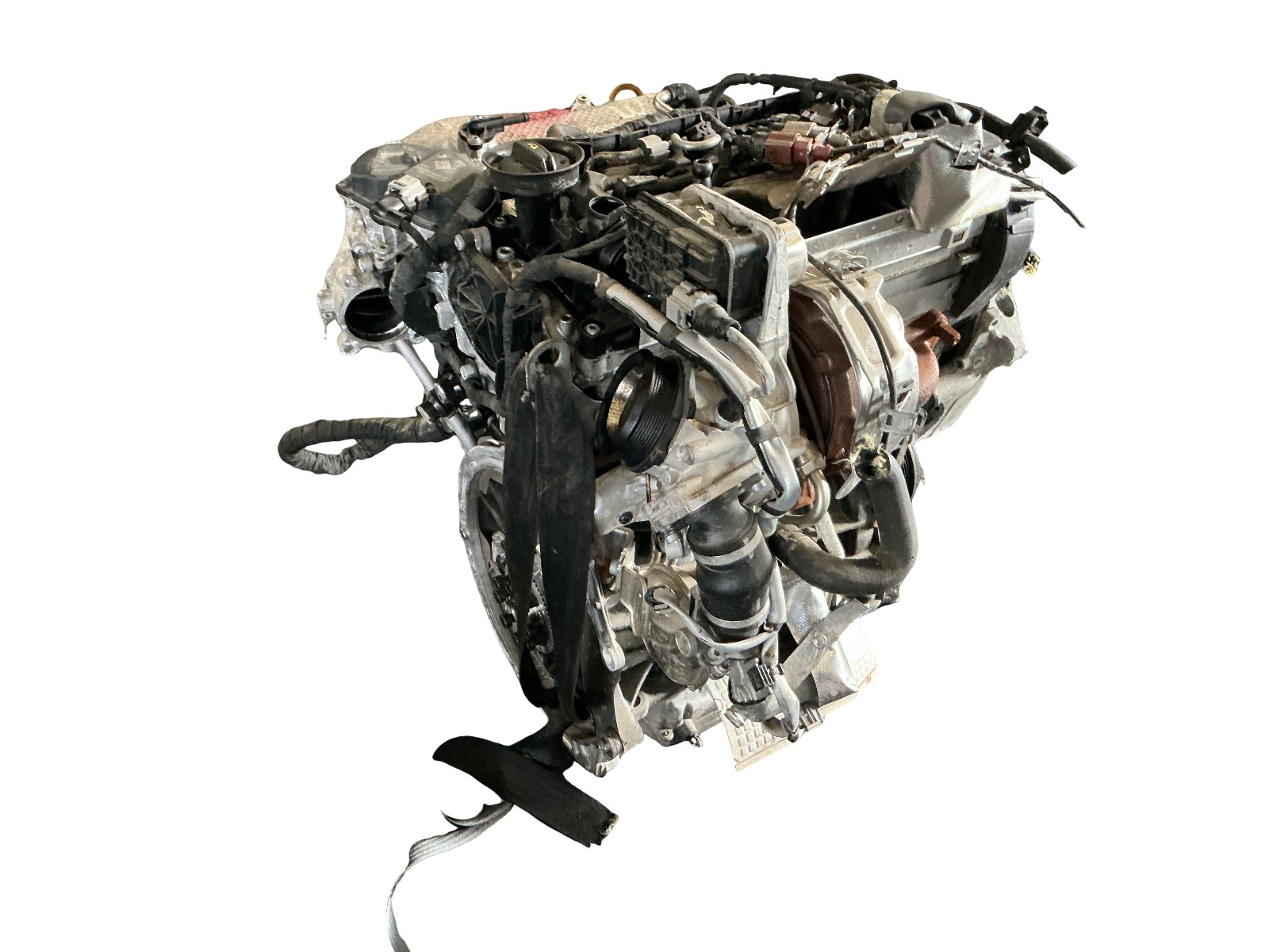 Miniatura 8