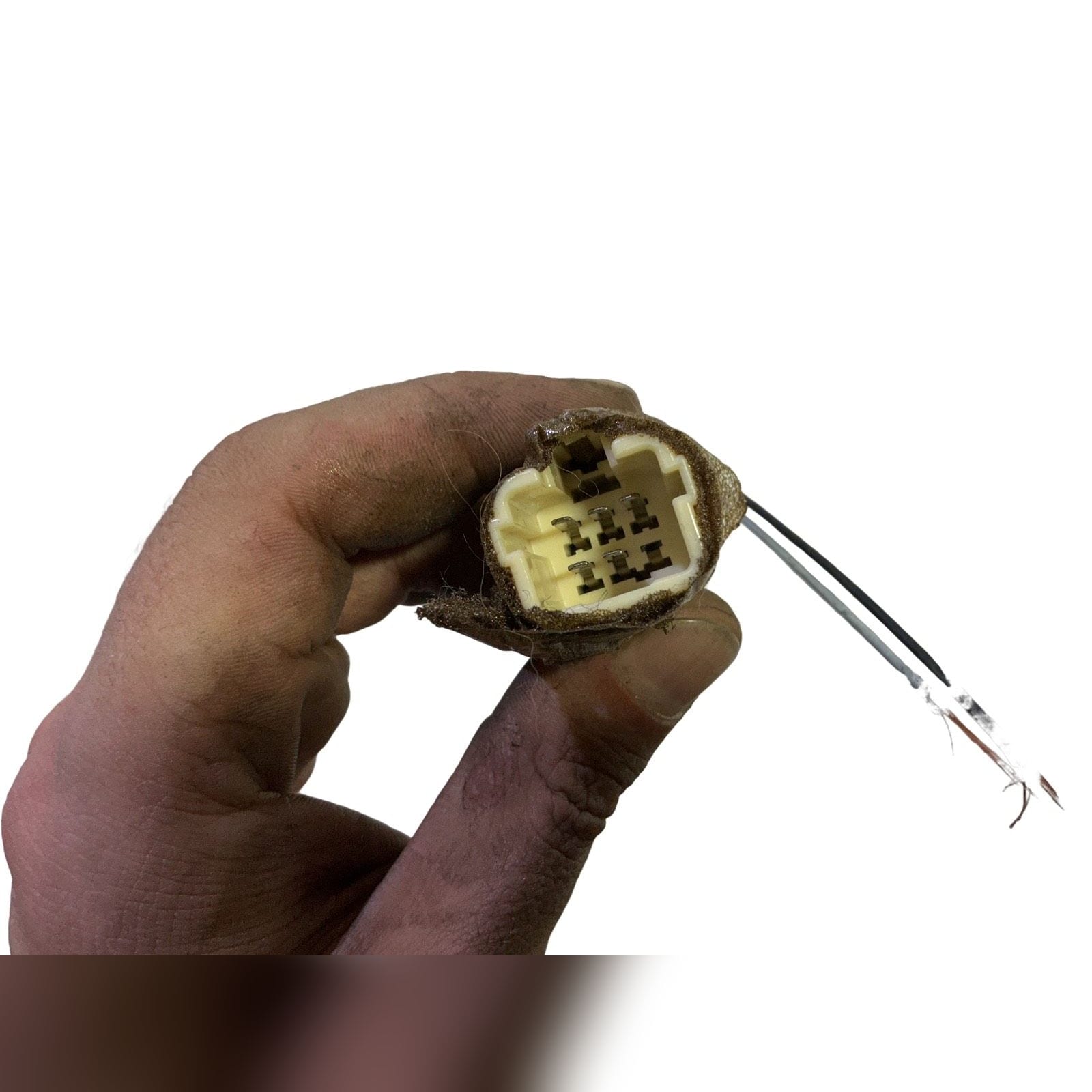 Miniatura 5