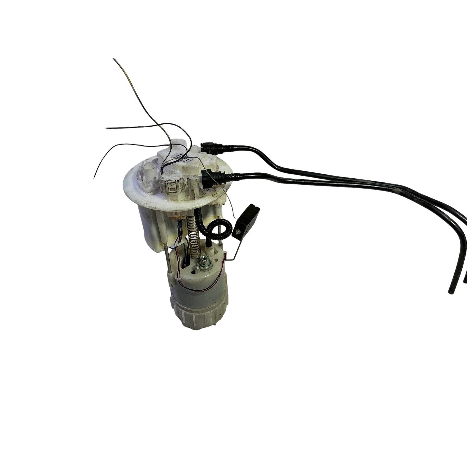 Miniatura 6