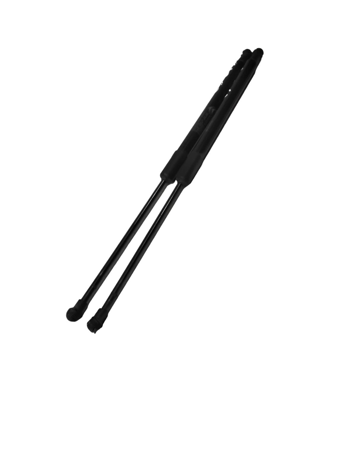 Asta Ammortizzante Portello Post. Sinistro (Cs Germany) 9813177780 Usato