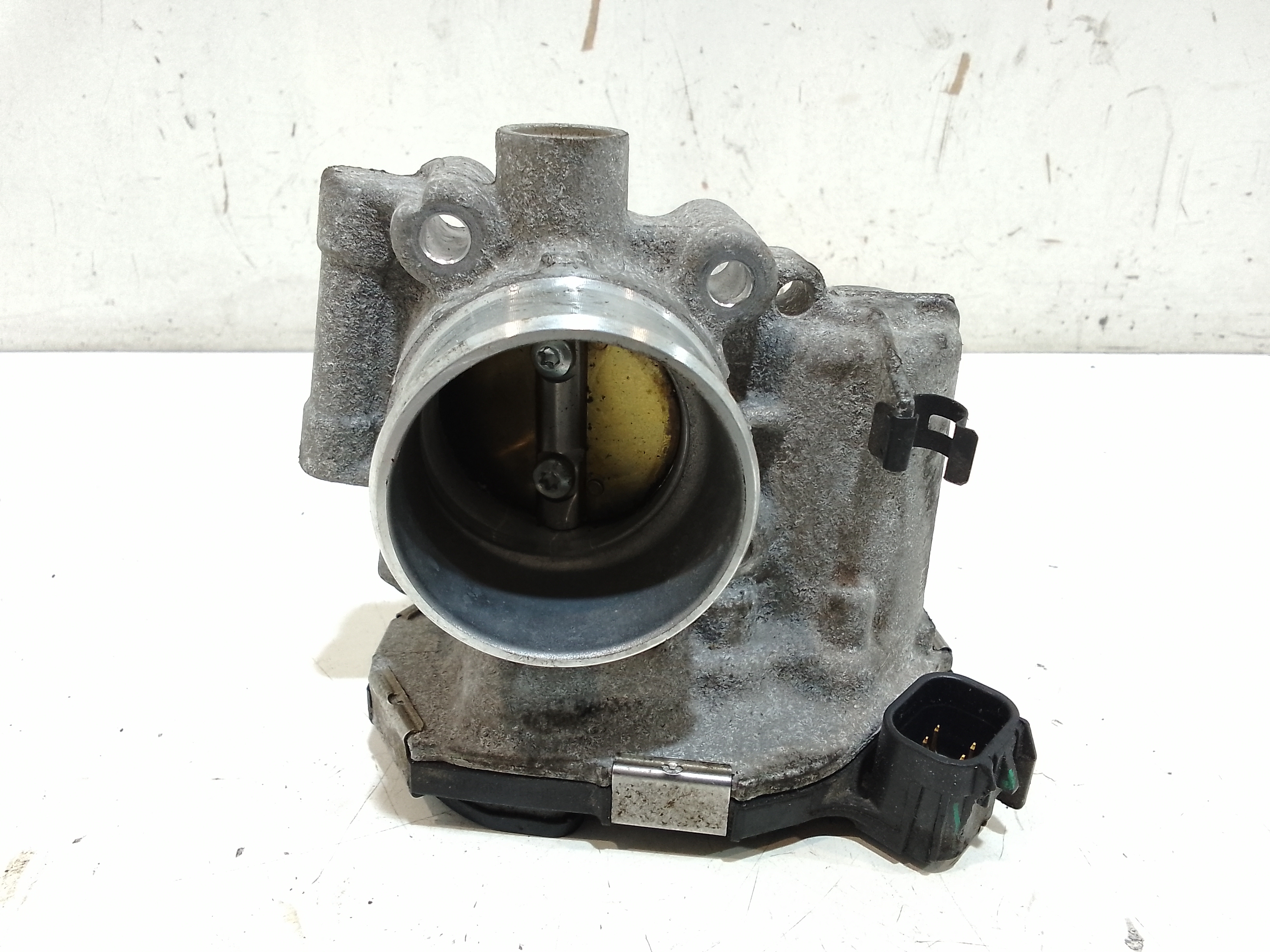 Corpo Farfallato 55562270 Usato