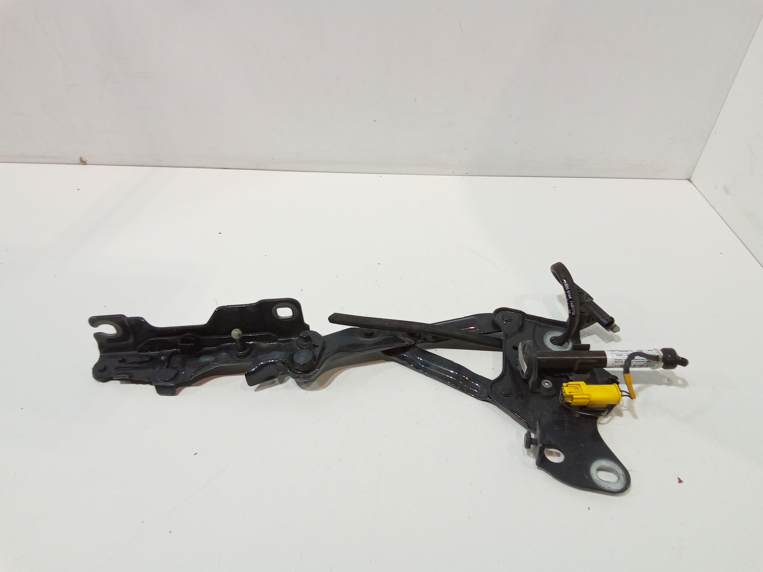 Cerniera Cofano Ant. Destro 41009477742 Usato