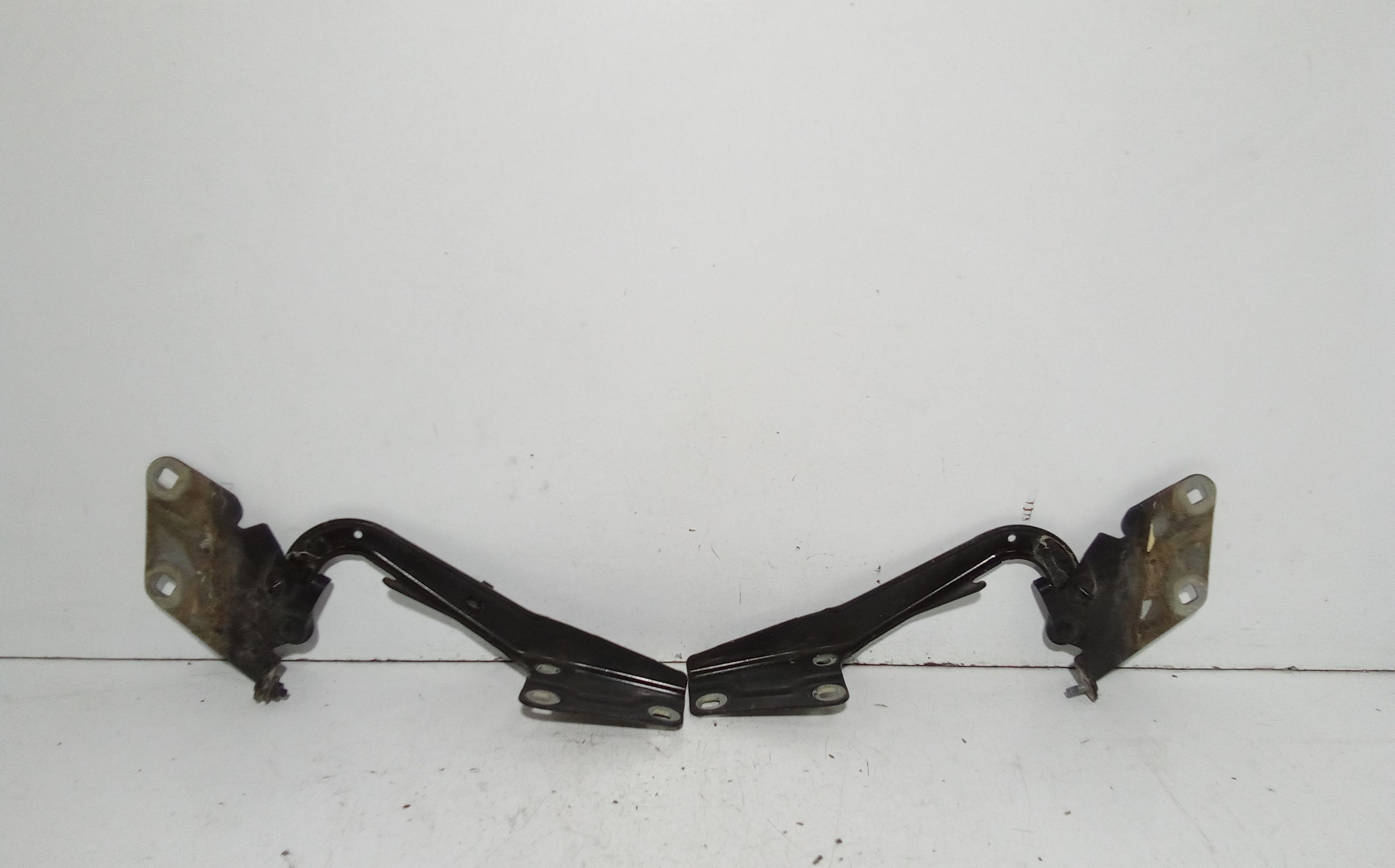 Cerniera Cofano Ant. Sinistro 654010020R Usato