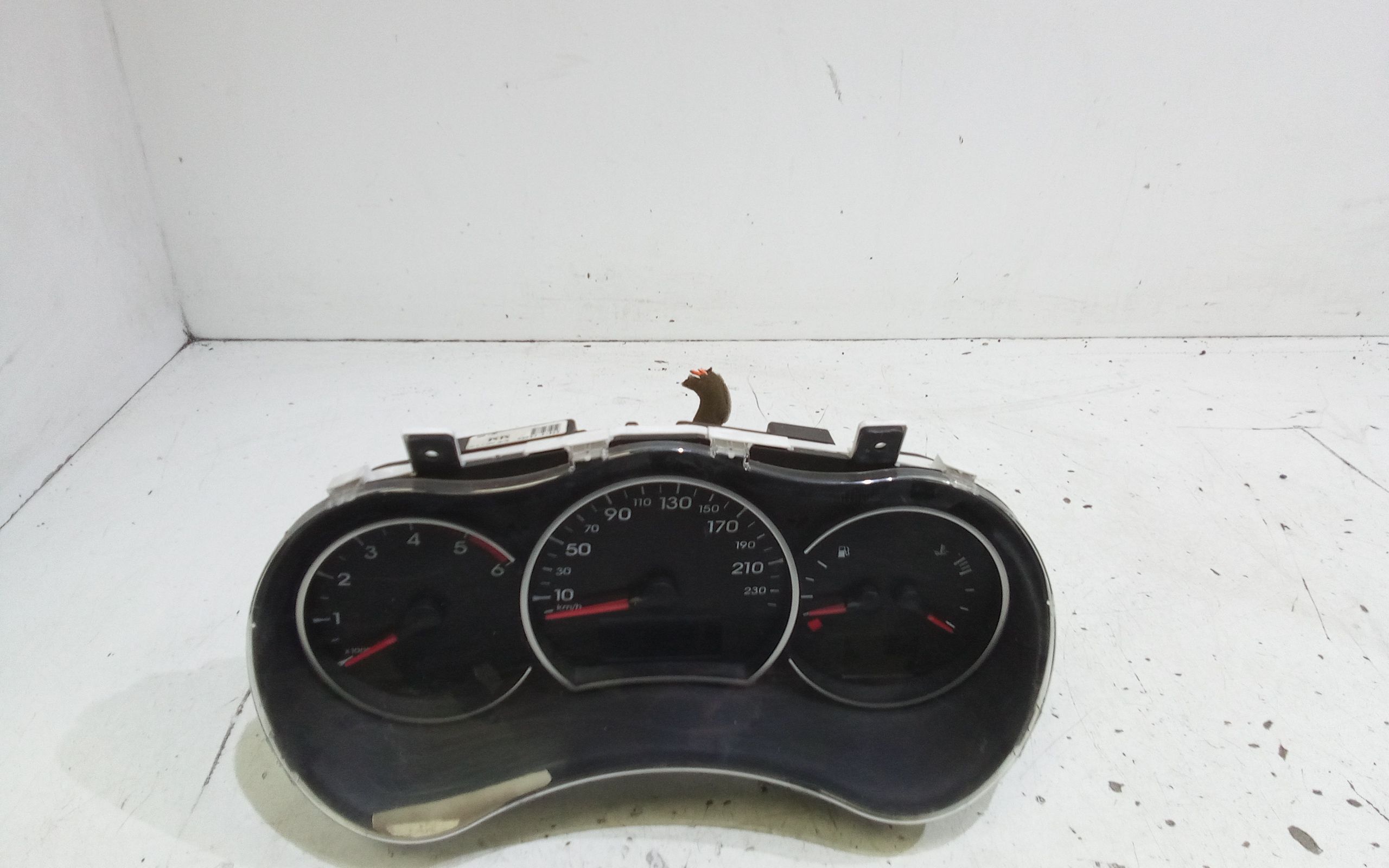 Quadro Portastrumenti 248105644R Usato