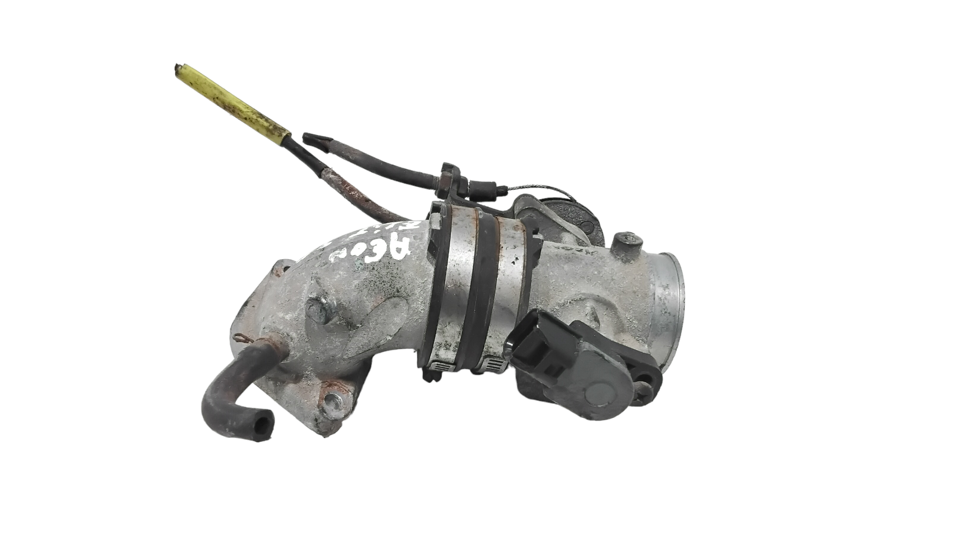 Corpo Farfallato Usato