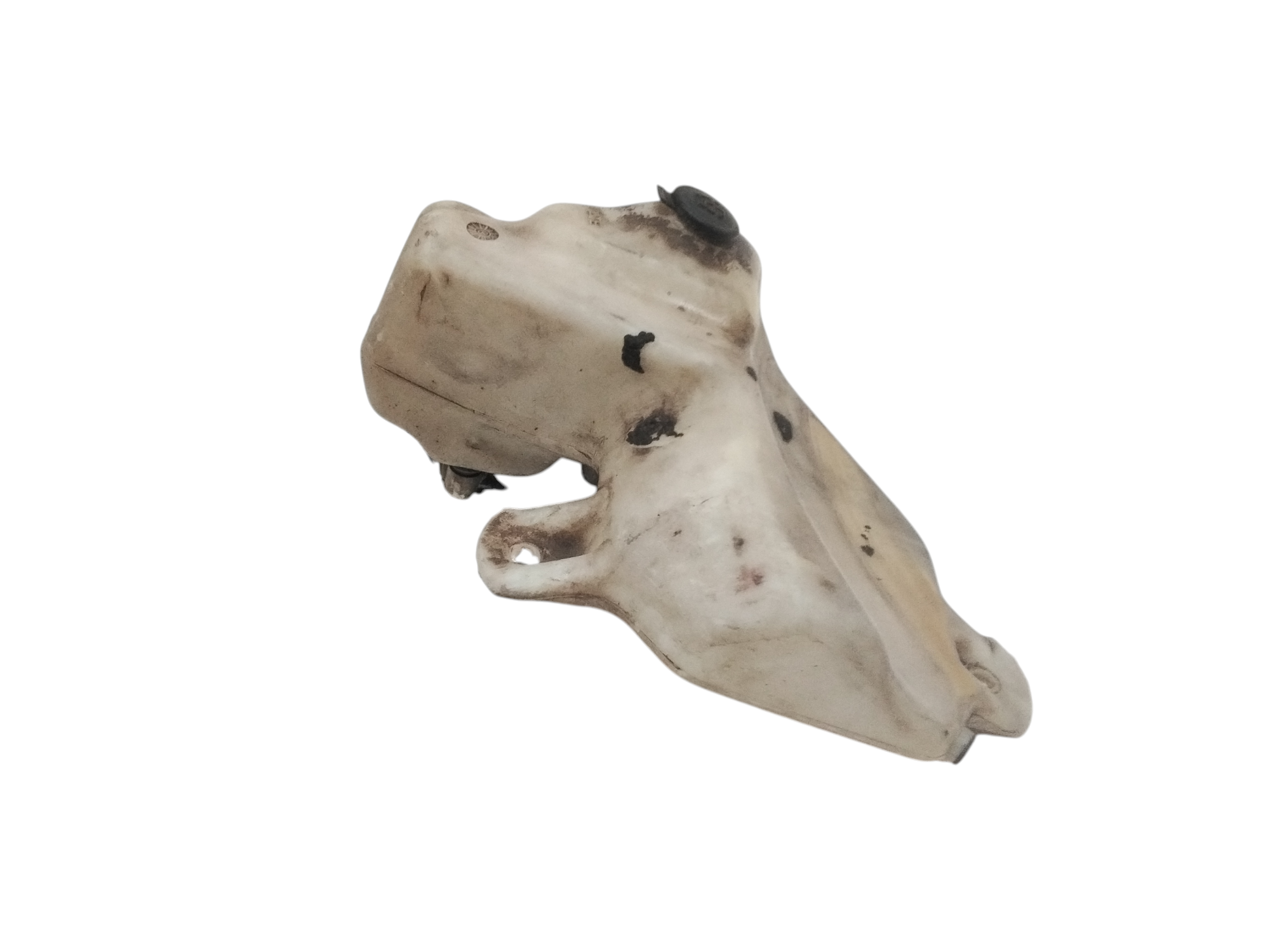 Serbatoio Tergiparabrezza Compl. Usato