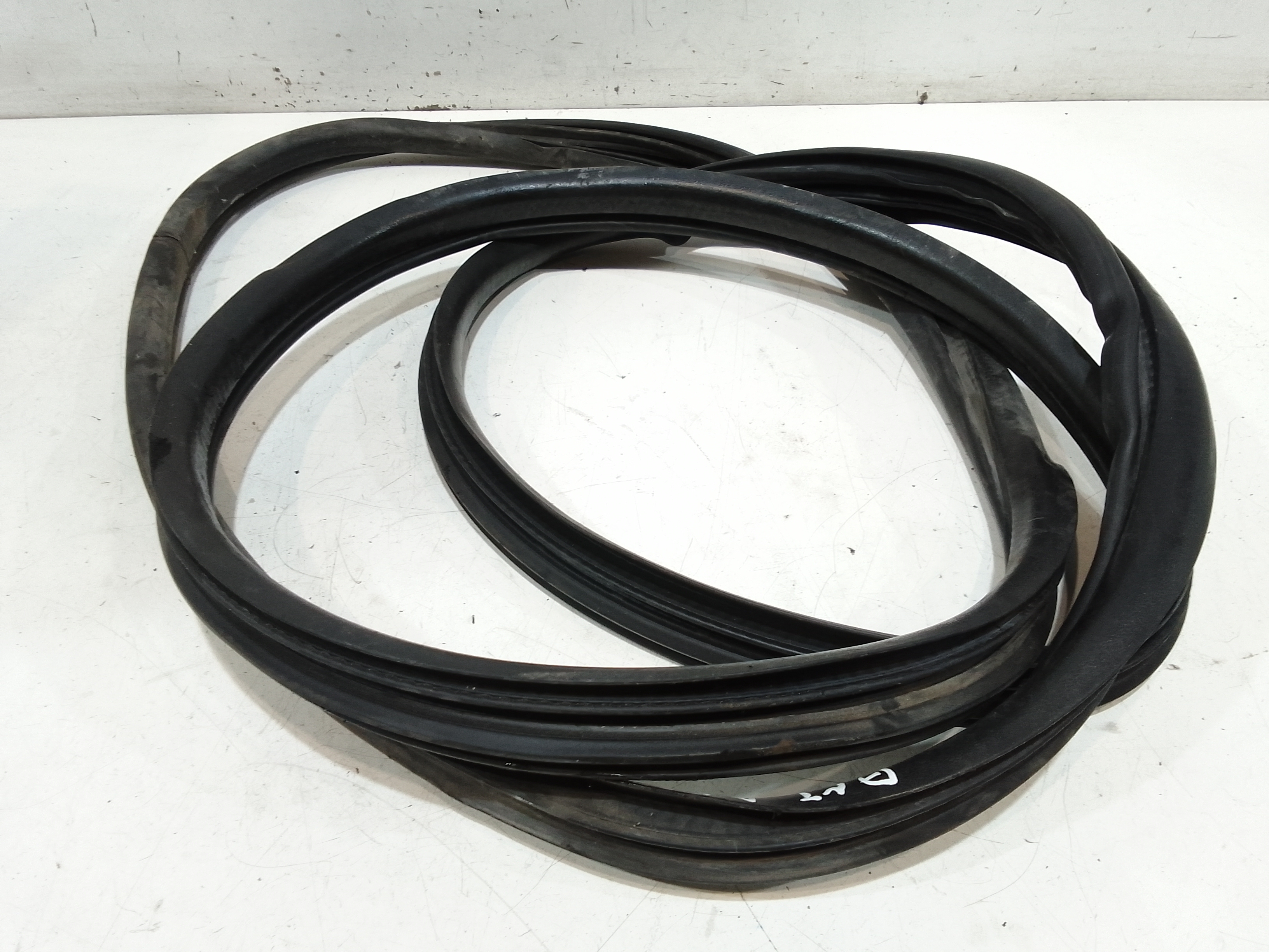 Guarnizione Porta Ant. Usato