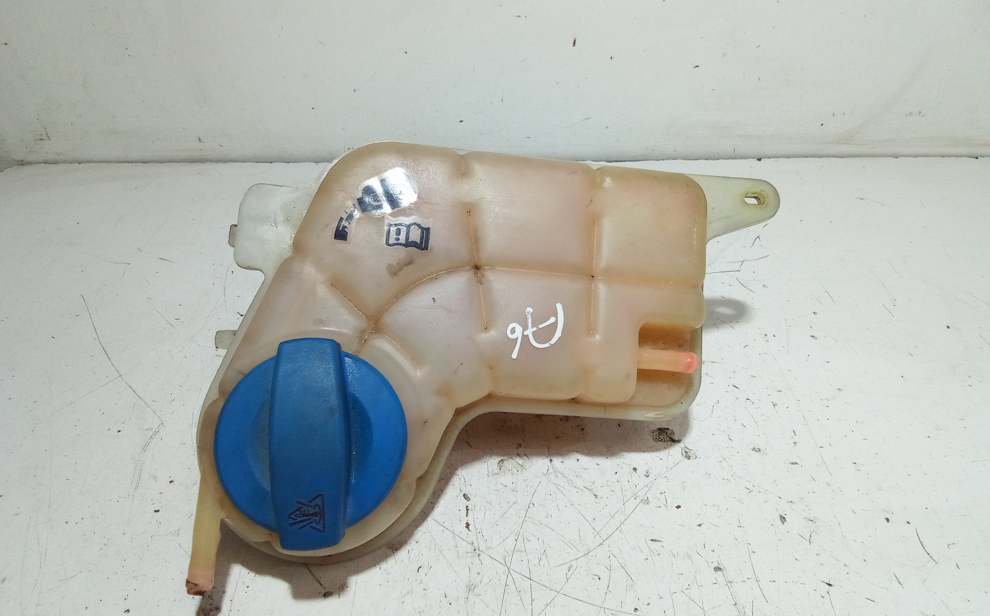 Vaschetta Compensazione Radiatore Usato