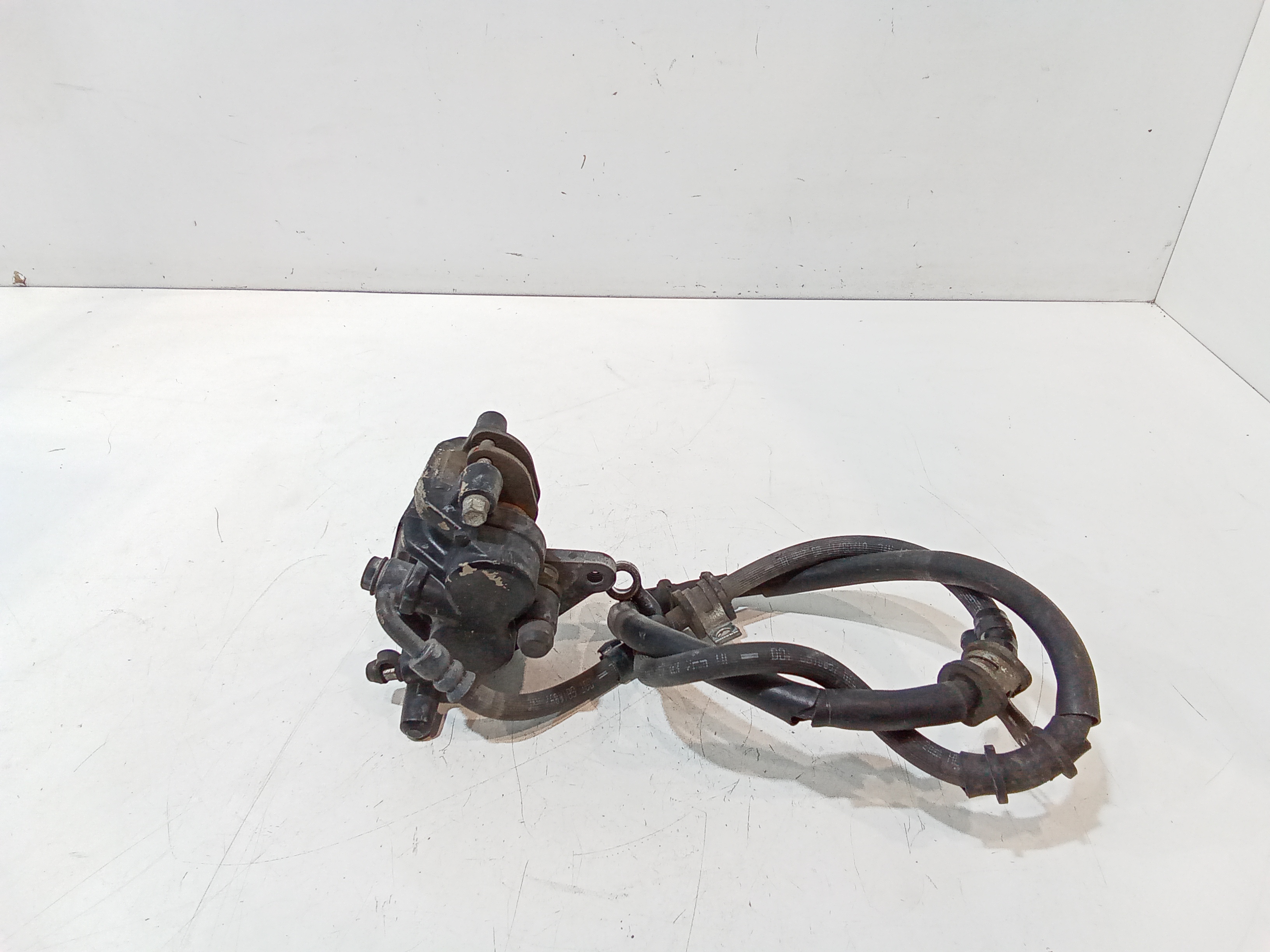 Pinza Freno Anteriore Usato