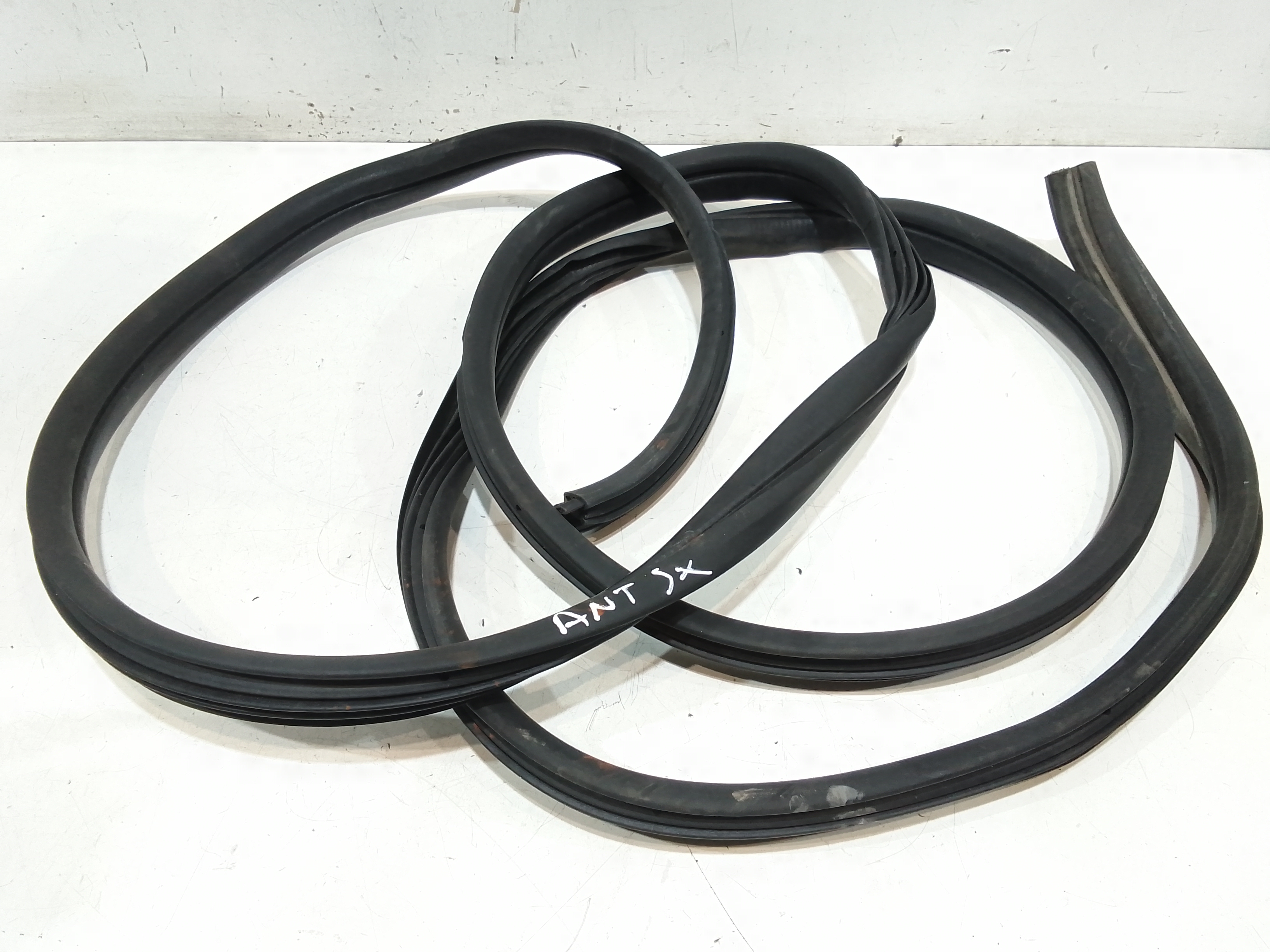 Guarnizione Porta Ant. Usato