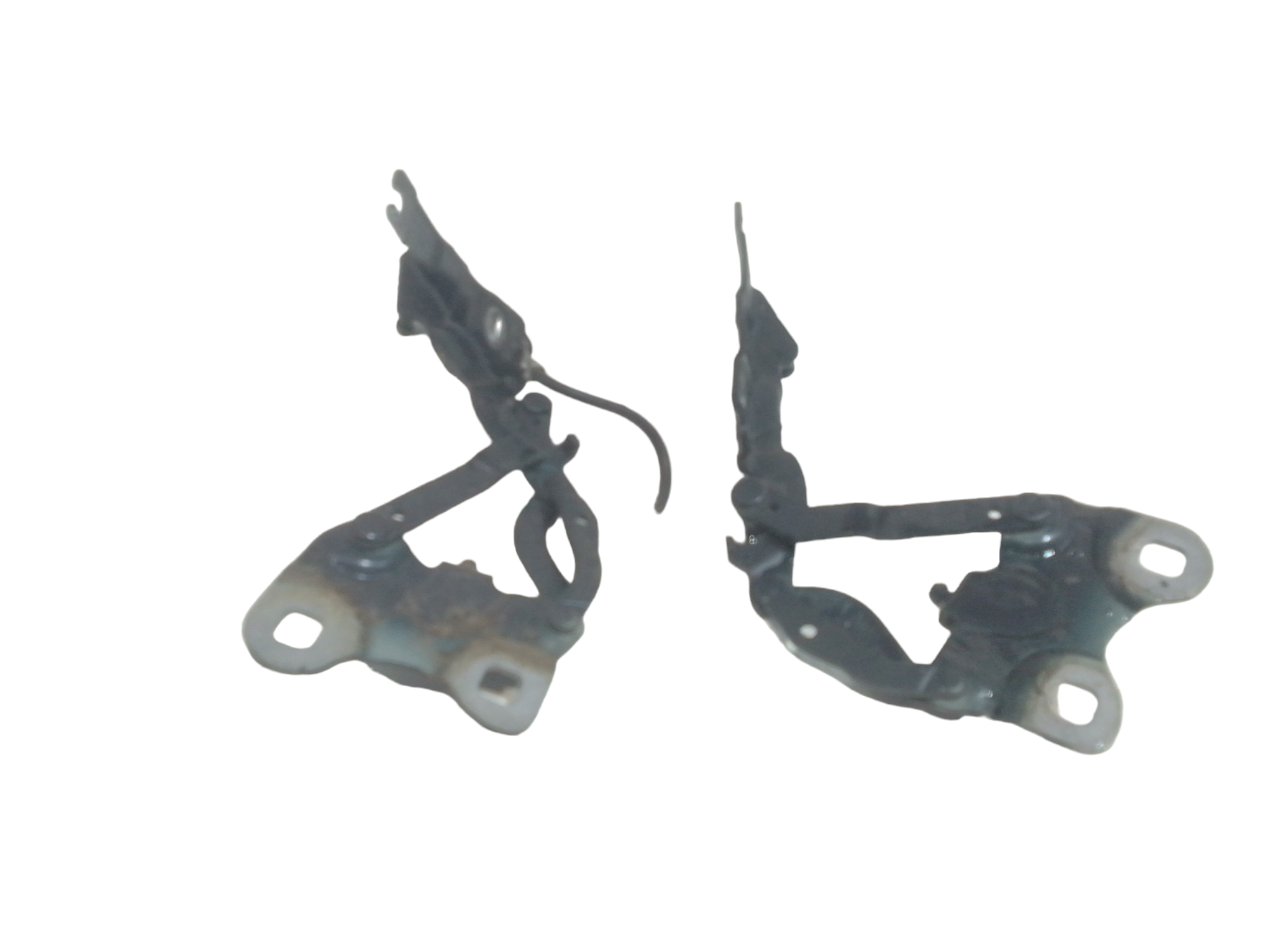 Cerniera Cofano Ant. Sinistro 41007370301 Usato