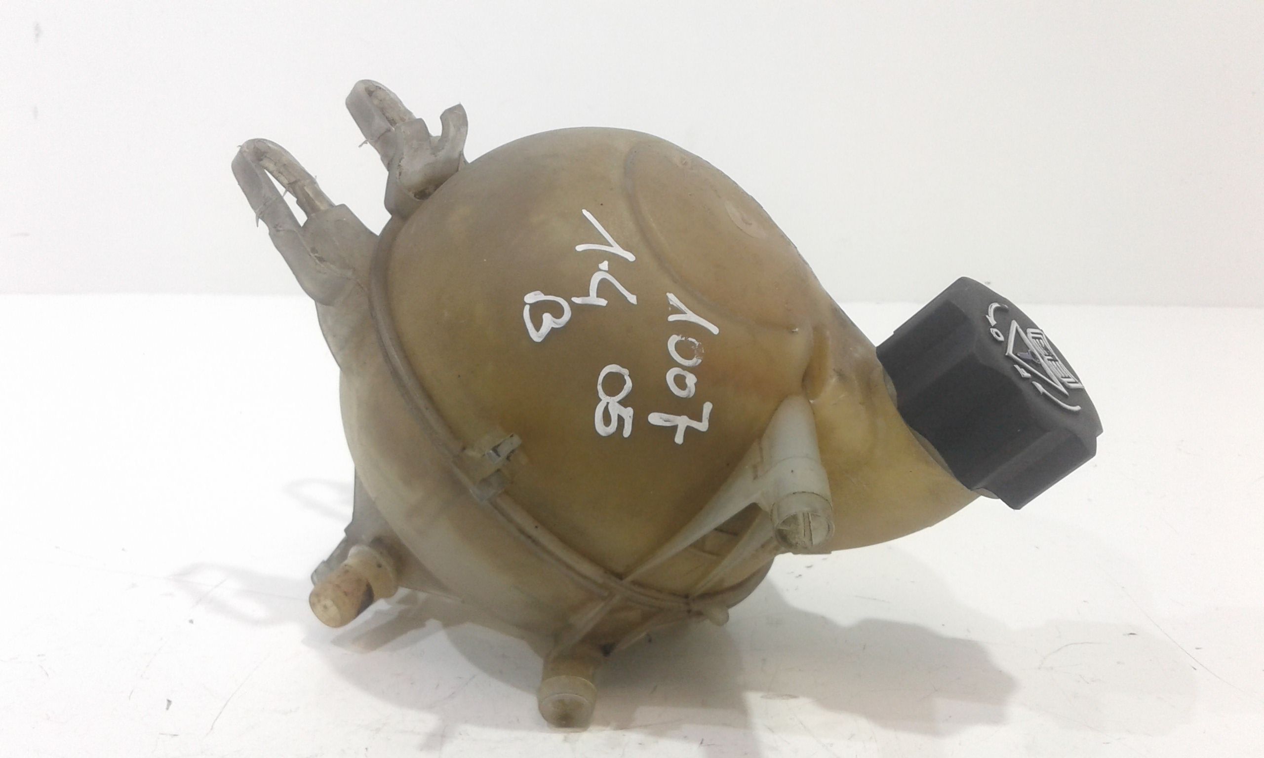 Vaschetta Compensazione Radiatore 1307XQ Usato