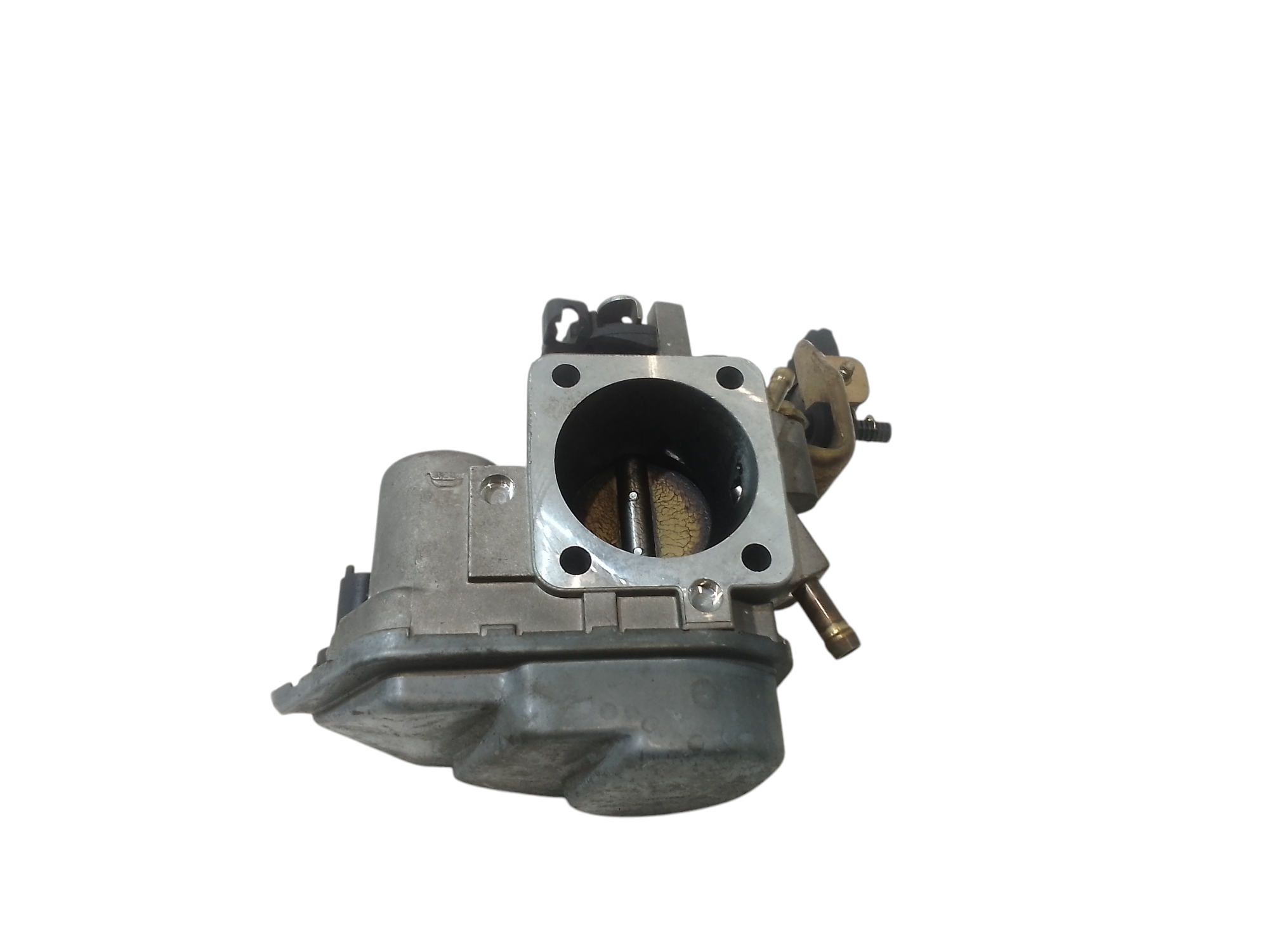 Corpo Farfallato Usato