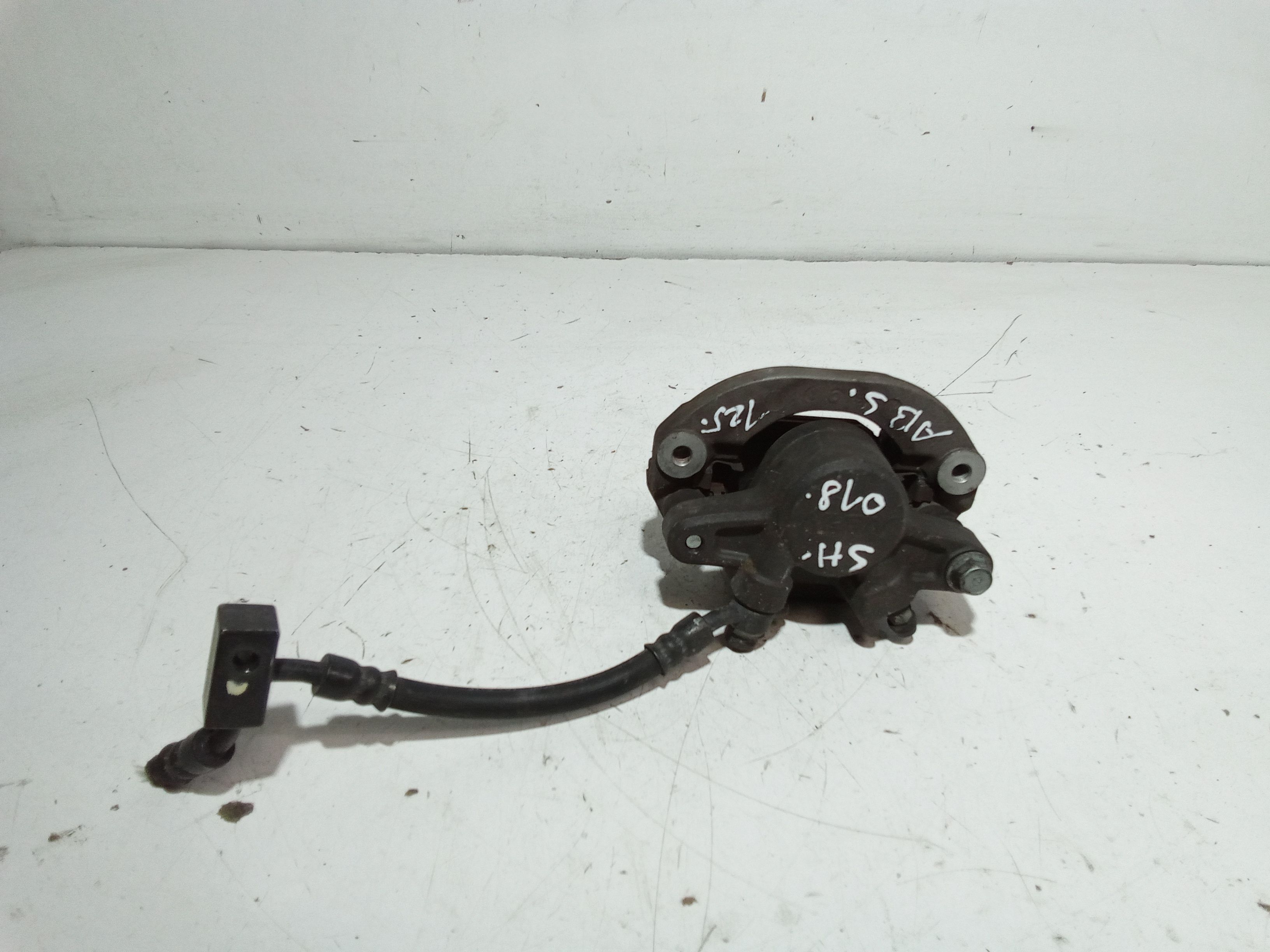 Pinza Freno Posteriore Usato