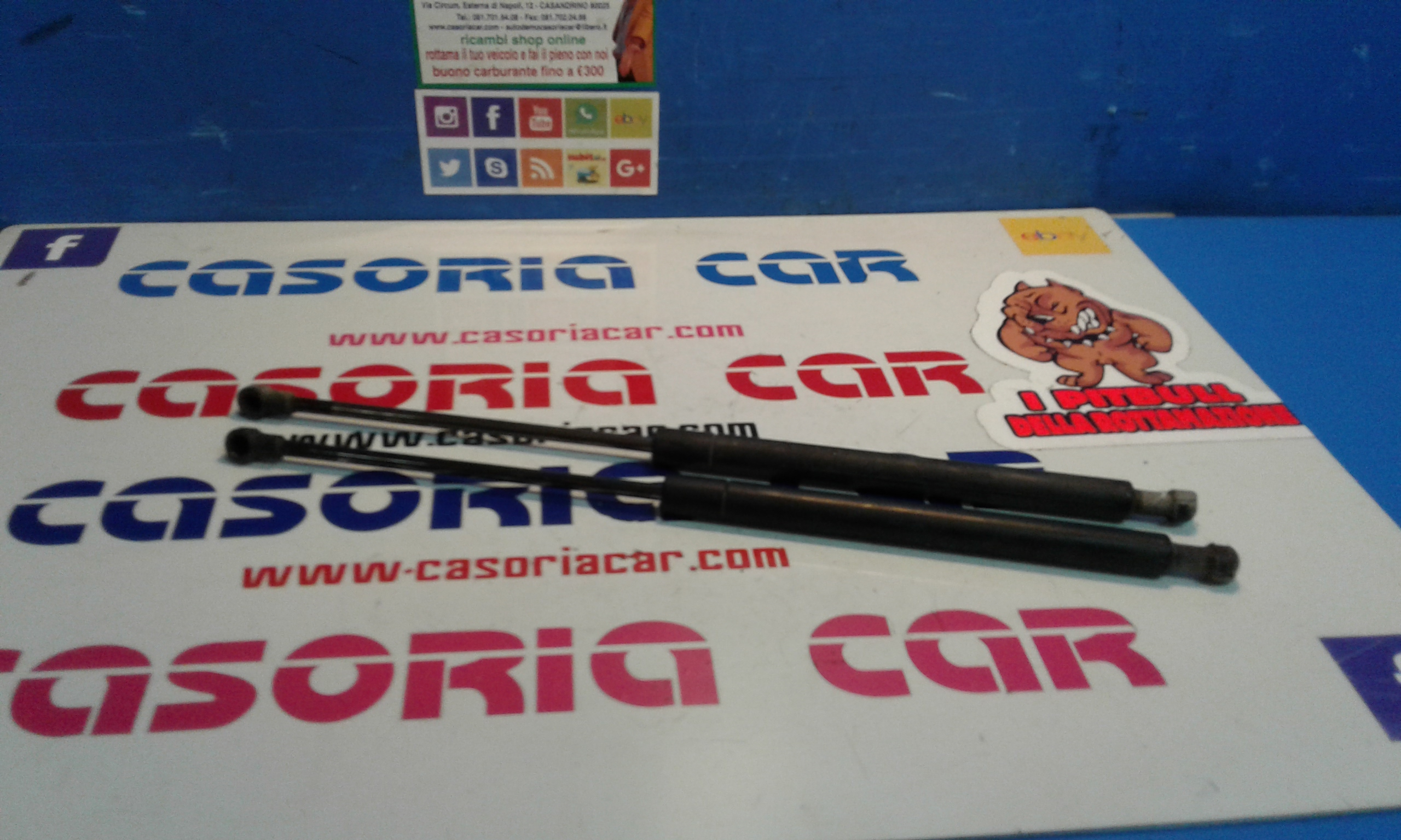 Cerniera Cofano Post. Destro Usato