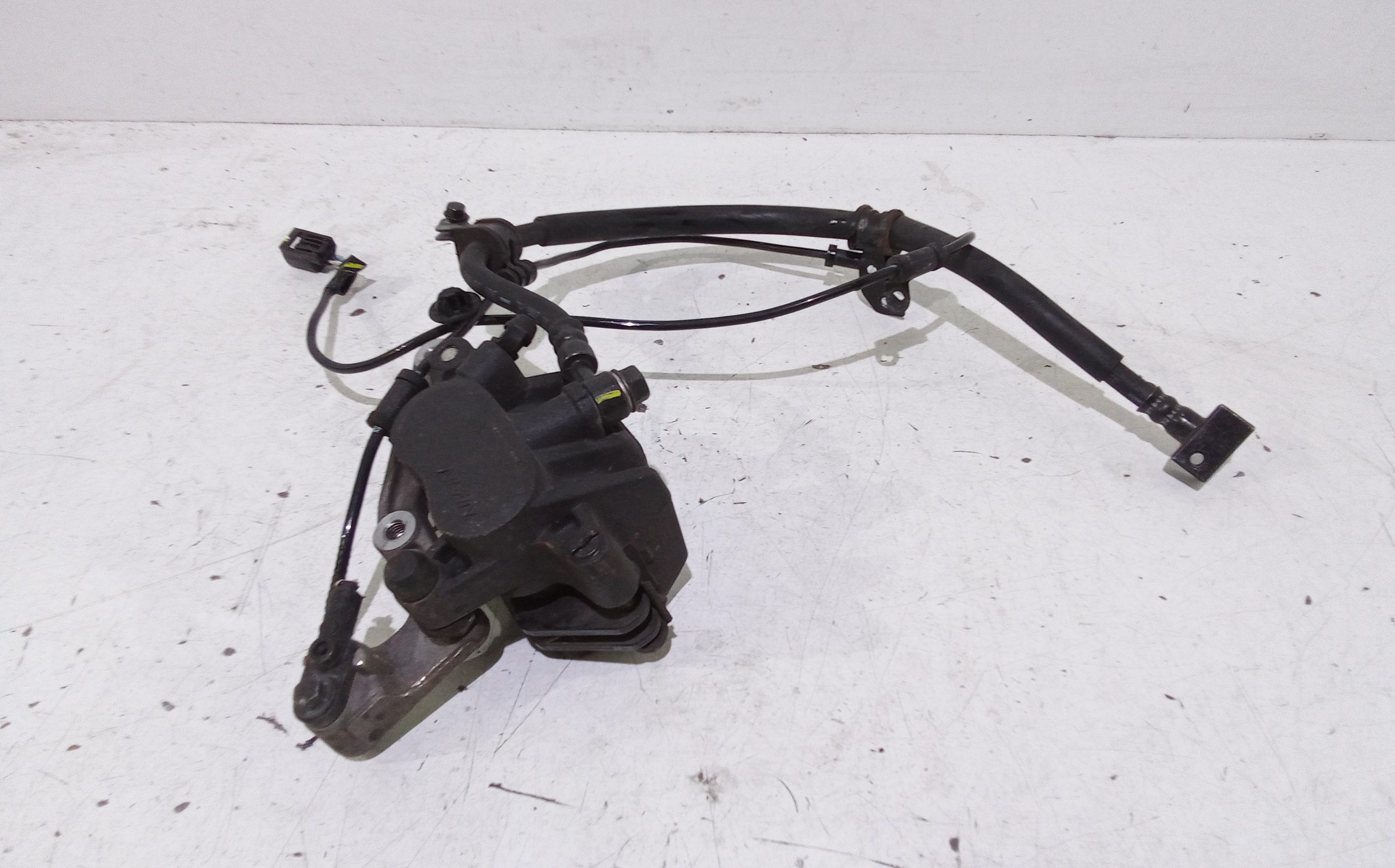 Pinza Freno Anteriore Usato