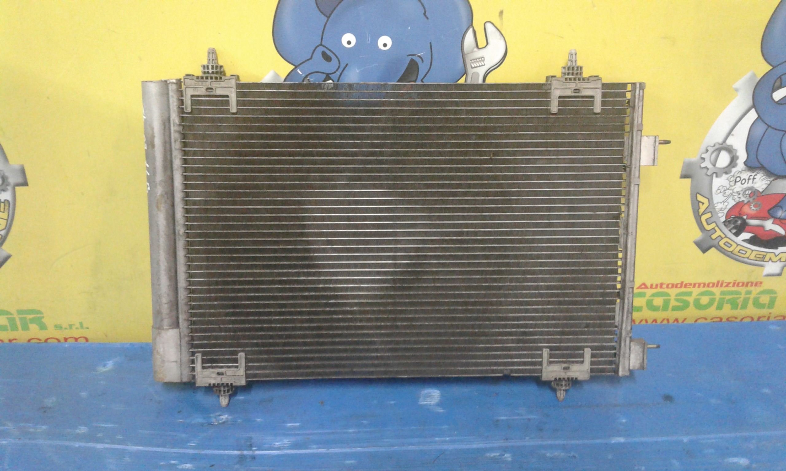 Radiatore Riscaldamento 6448N5 Usato