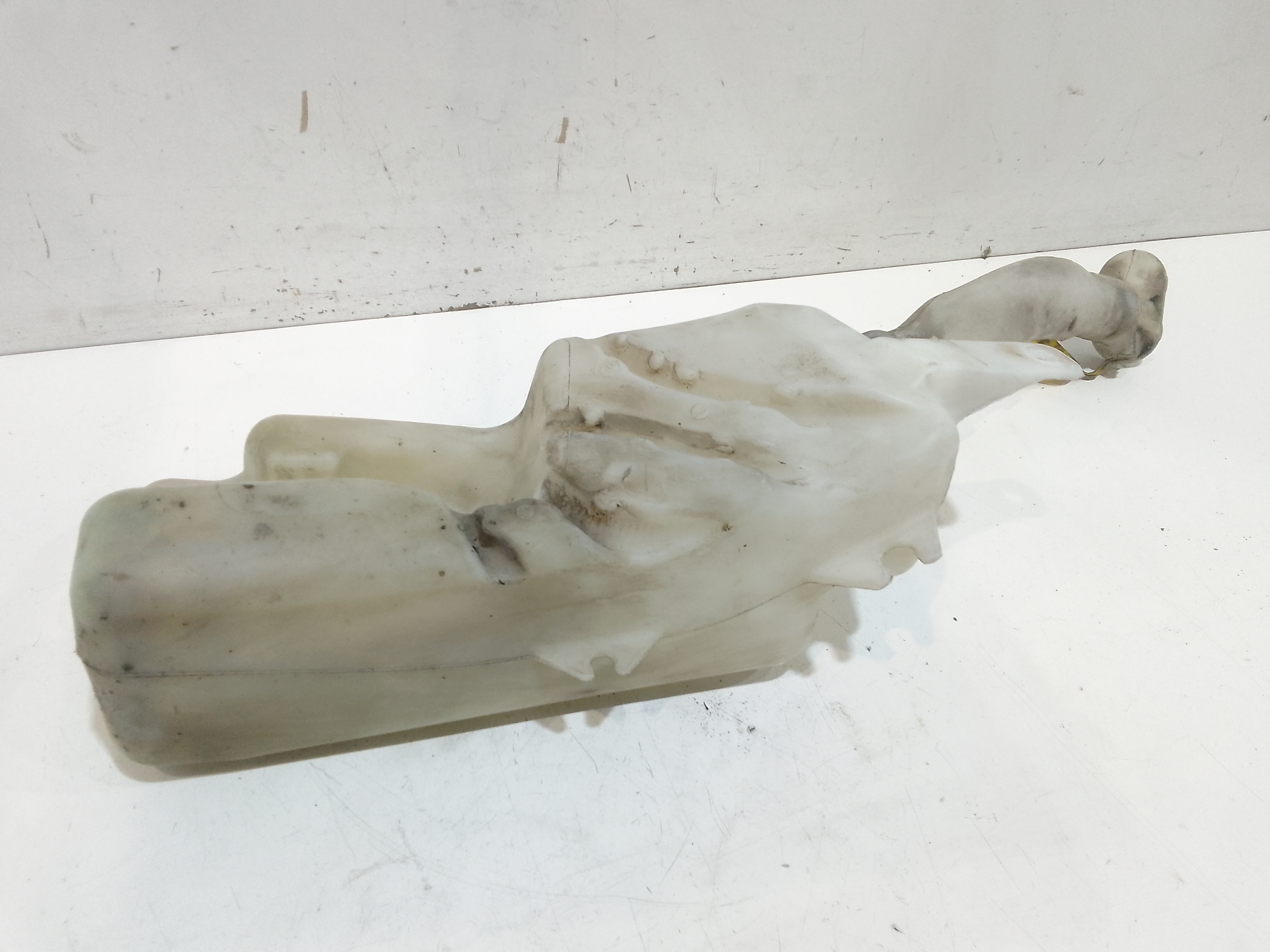 Serbatoio Tergiparabrezza Compl. Usato