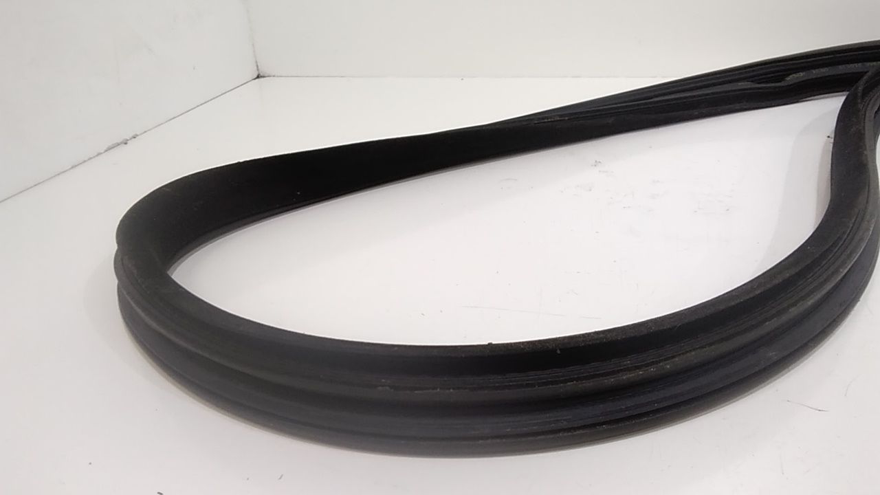 Guarnizione Porta Ant. Usato