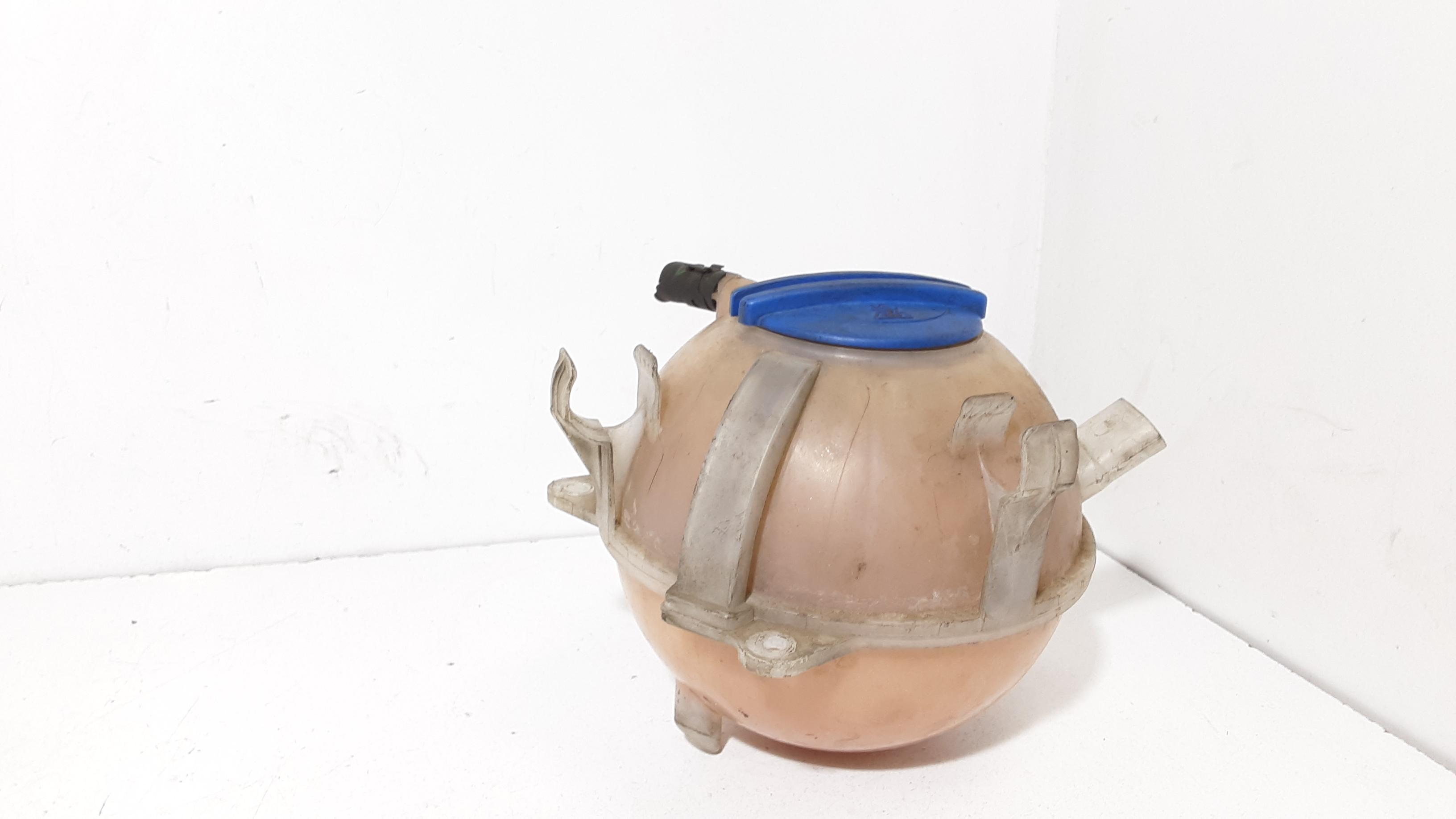 Vaschetta Compensazione Radiatore Usato