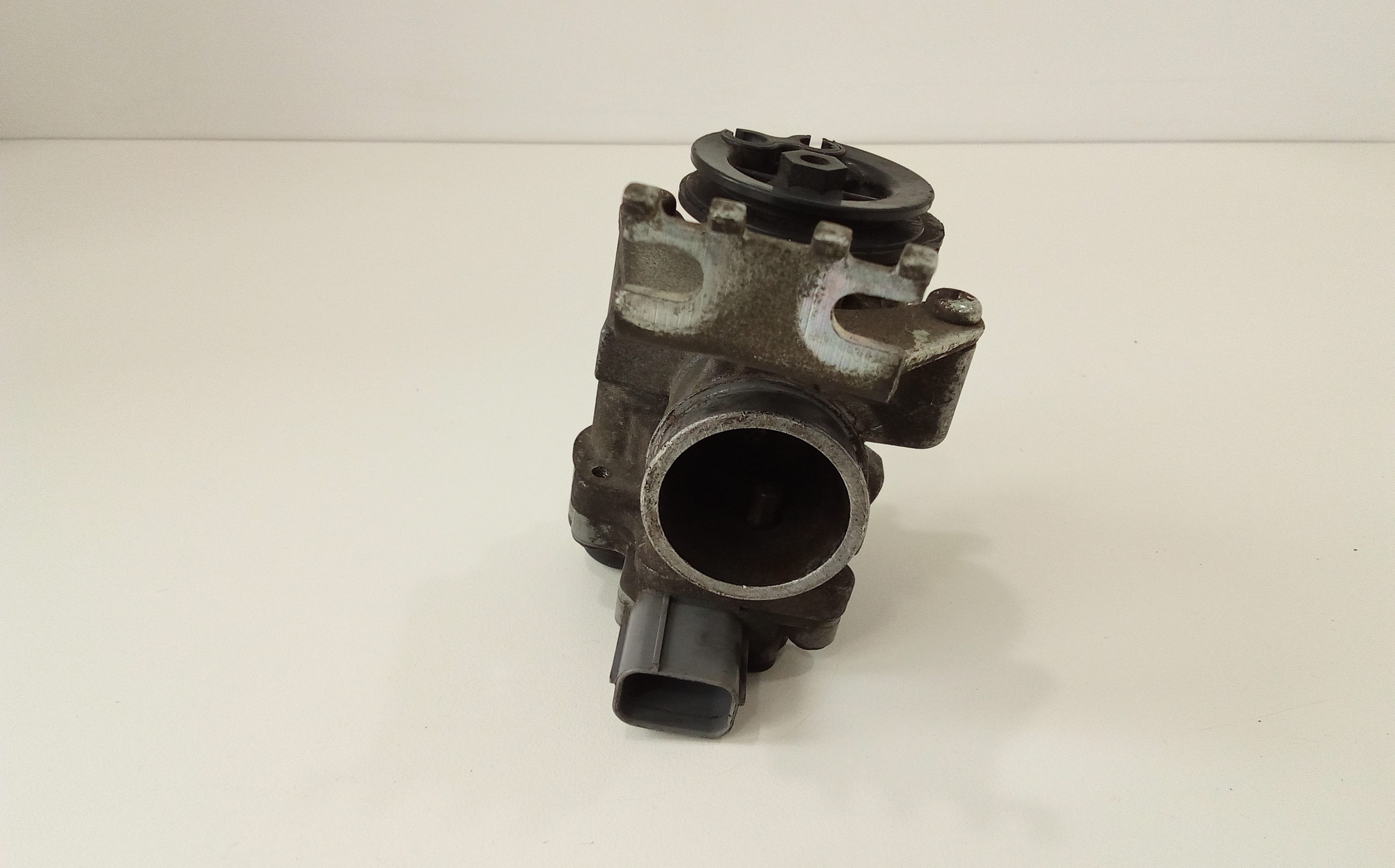 Corpo Farfallato Usato