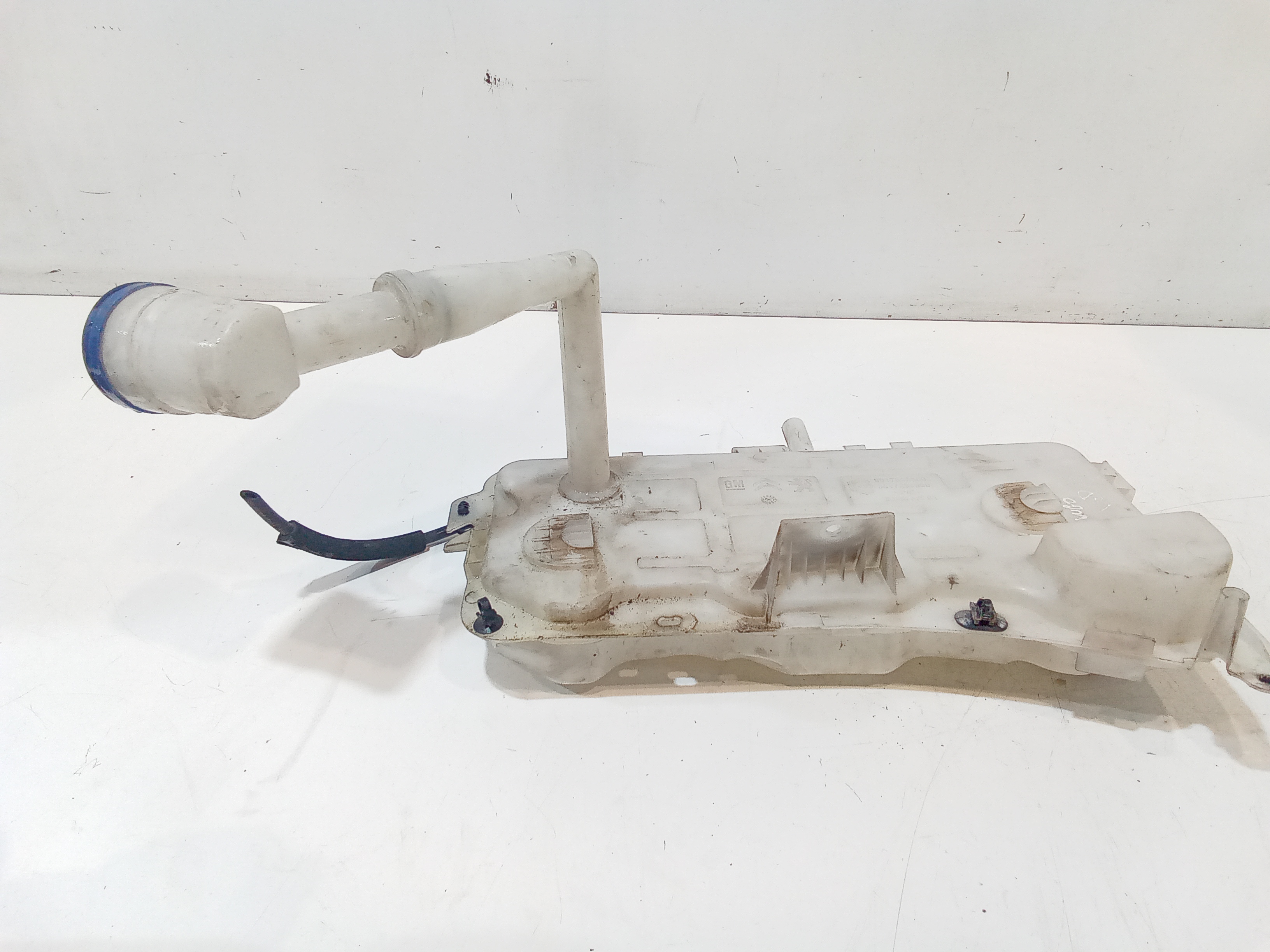 Serbatoio Tergiparabrezza Compl. Usato