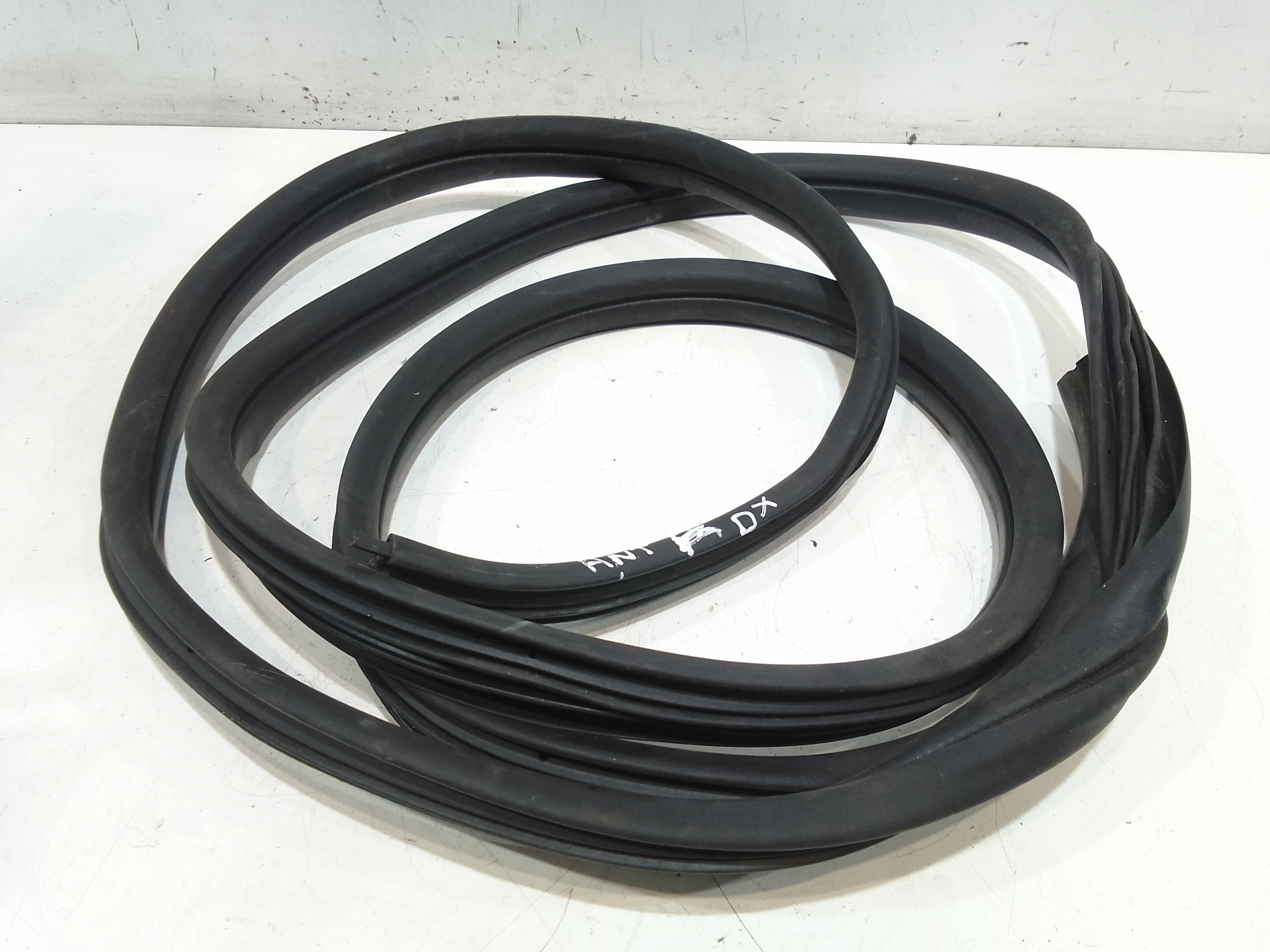 Guarnizione Porta Ant. Usato