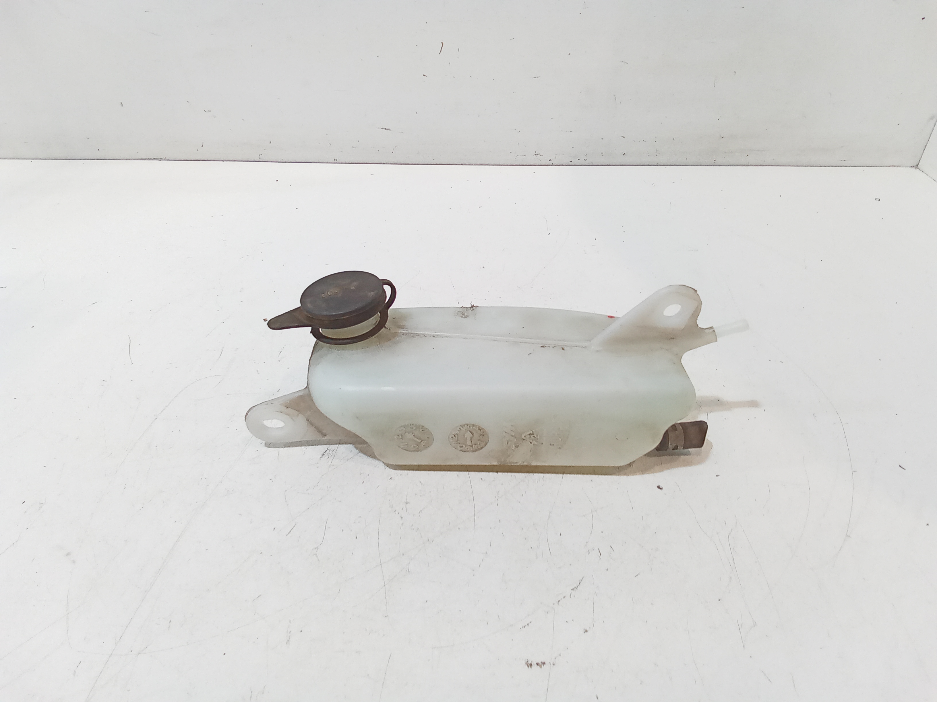 Vaschetta Compensazione Radiatore Usato