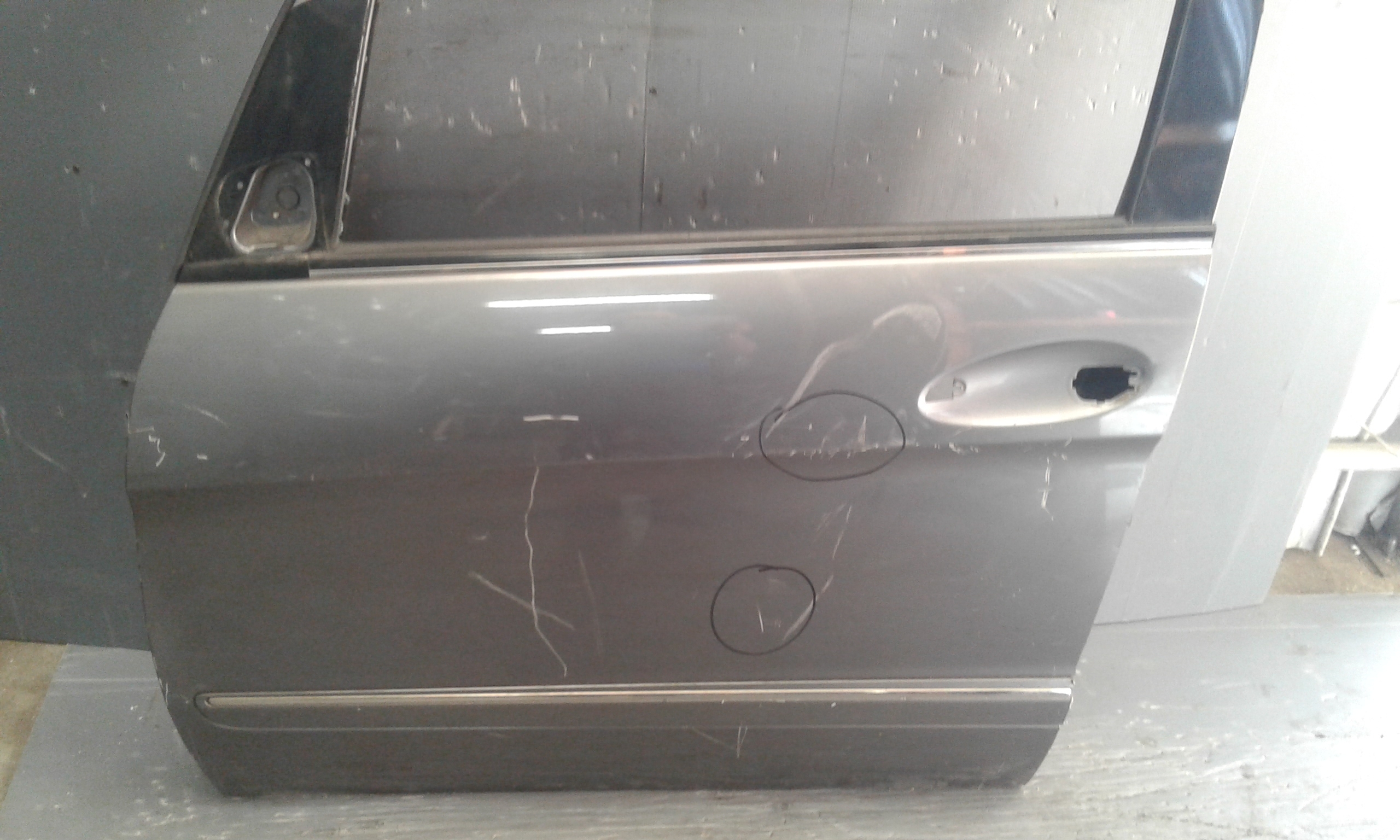 Porta Ant. Sinistro A1697202105 Usato