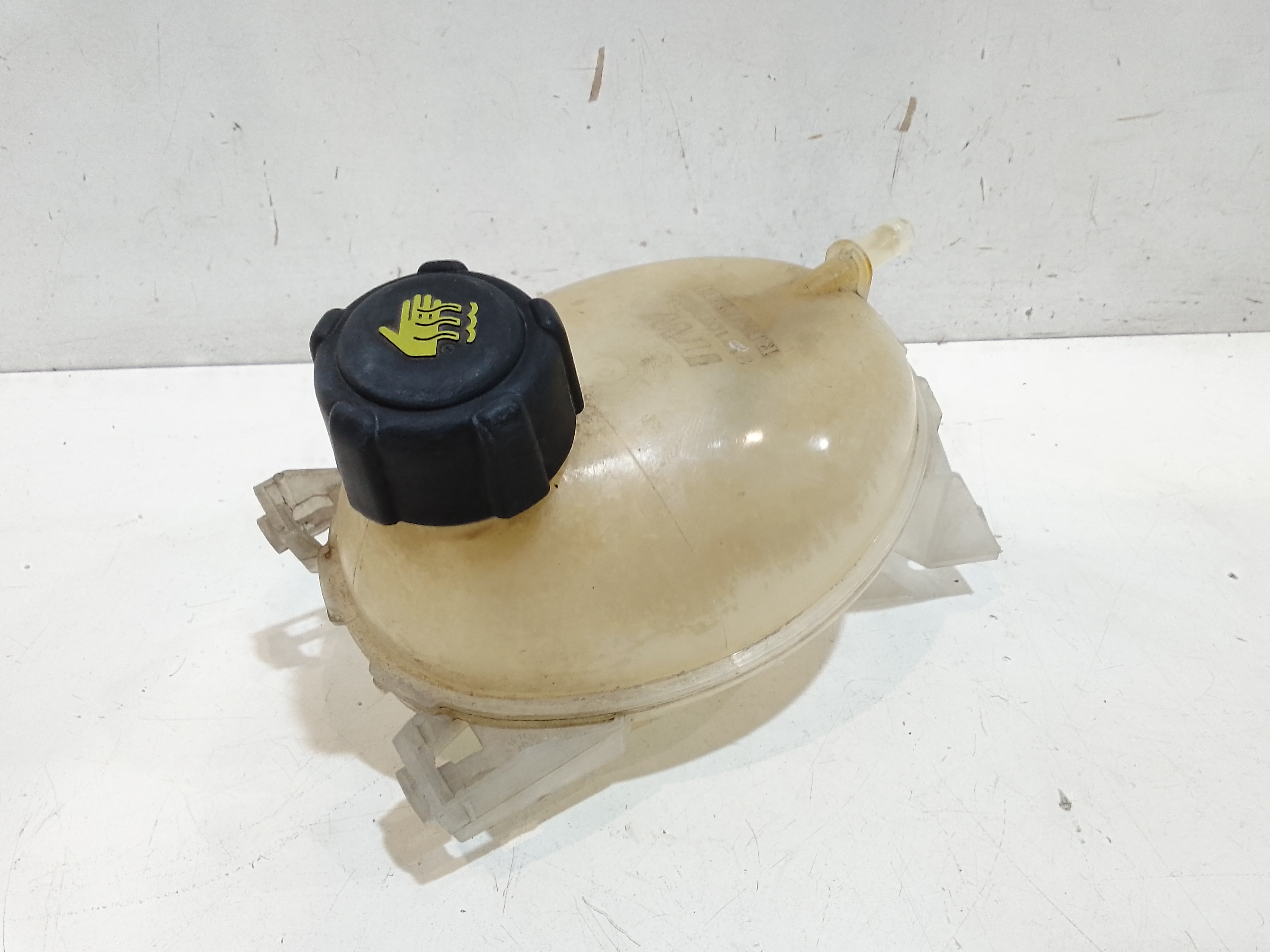 Vaschetta Compensazione Radiatore 217104354R Usato