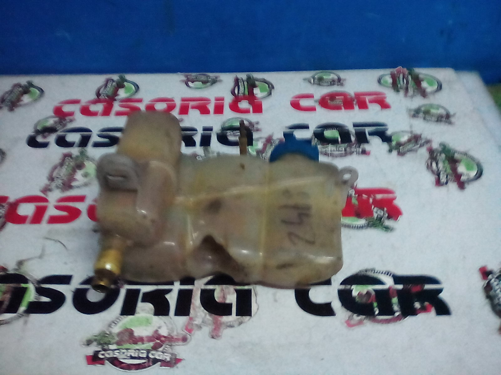 Vaschetta Compensazione Radiatore Usato