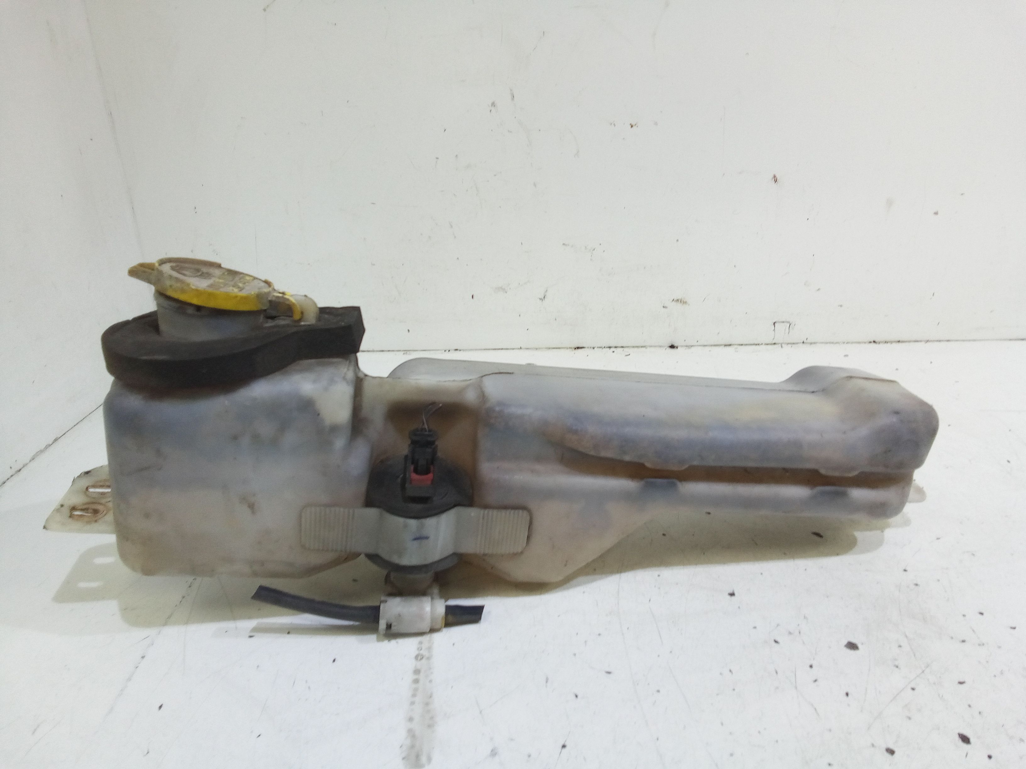 Serbatoio Tergiparabrezza Compl. Usato