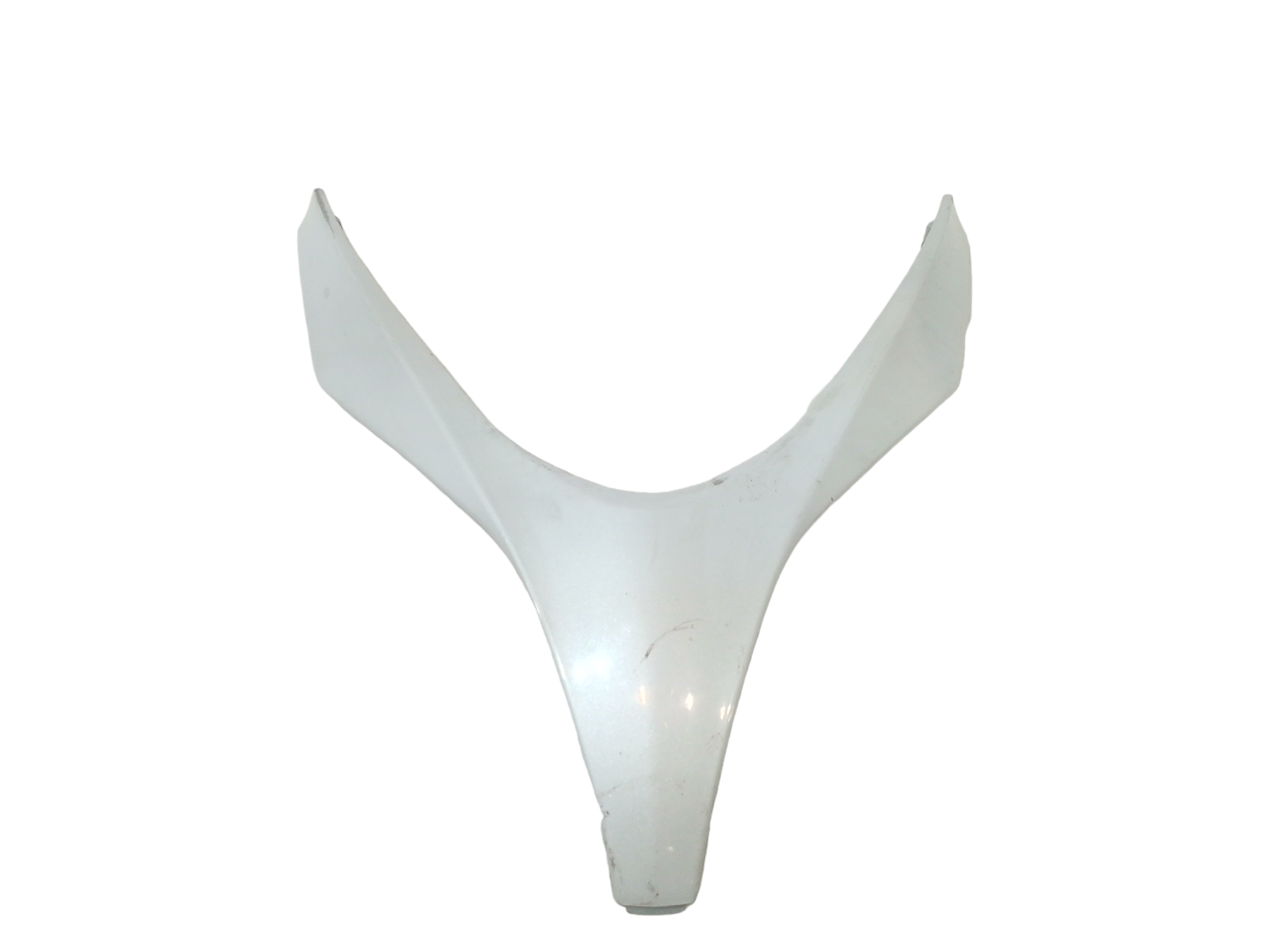 Modanatura Scudo Anteriore Usato