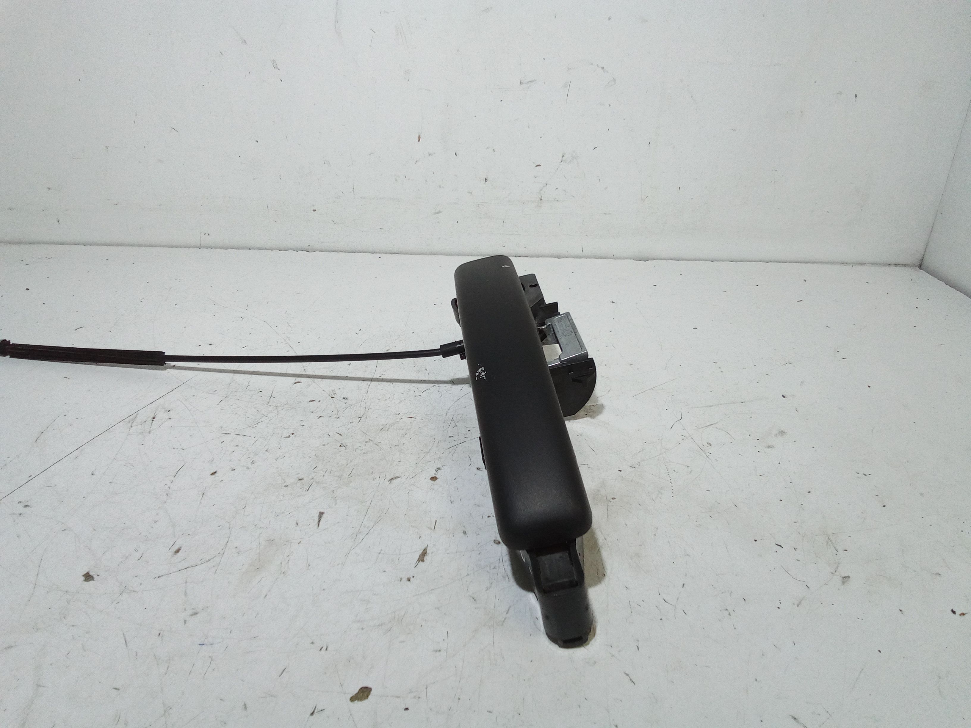 Maniglia Porta Ant. Sinistro 6000617154 Usato