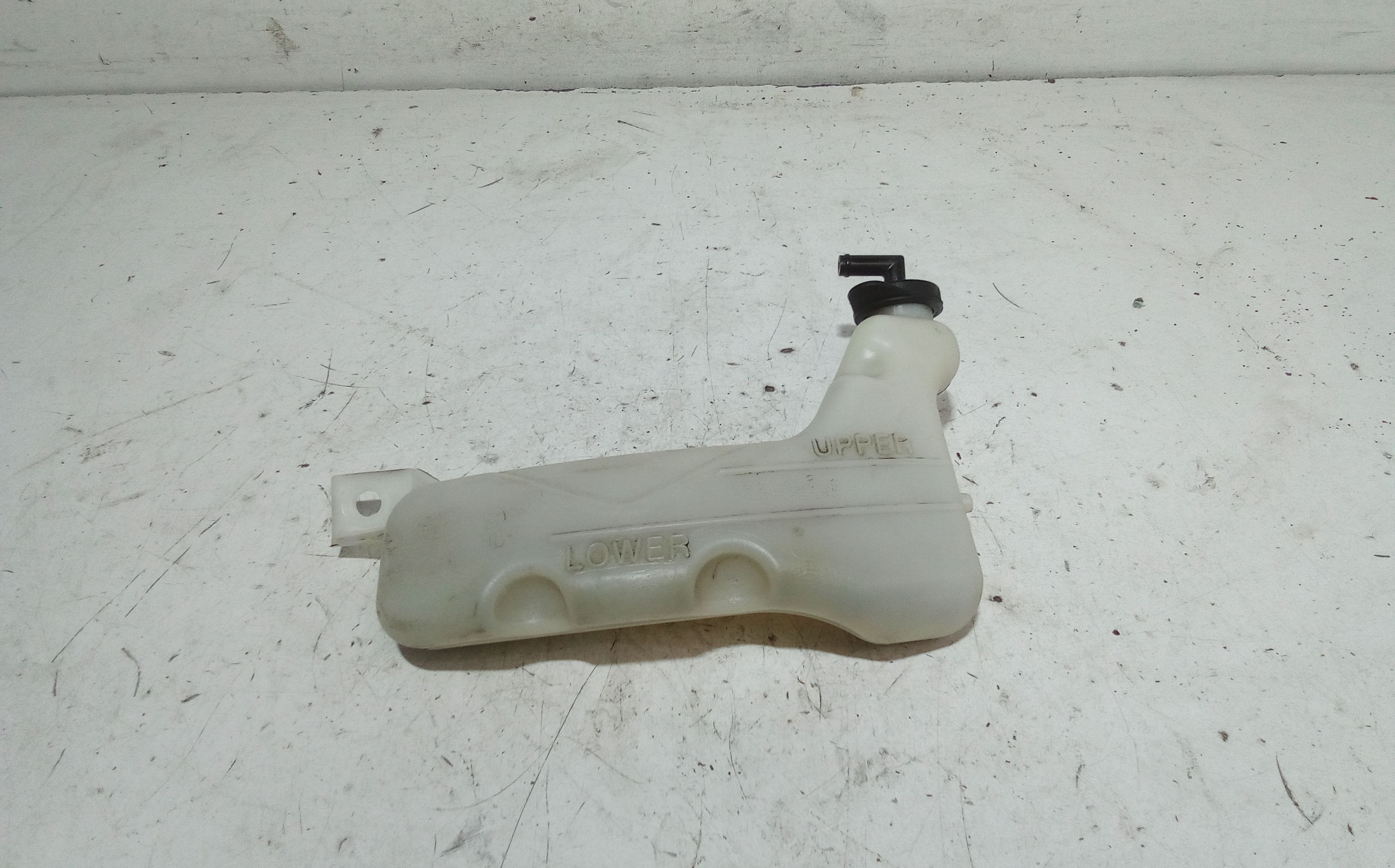 Vaschetta Compensazione Radiatore Usato