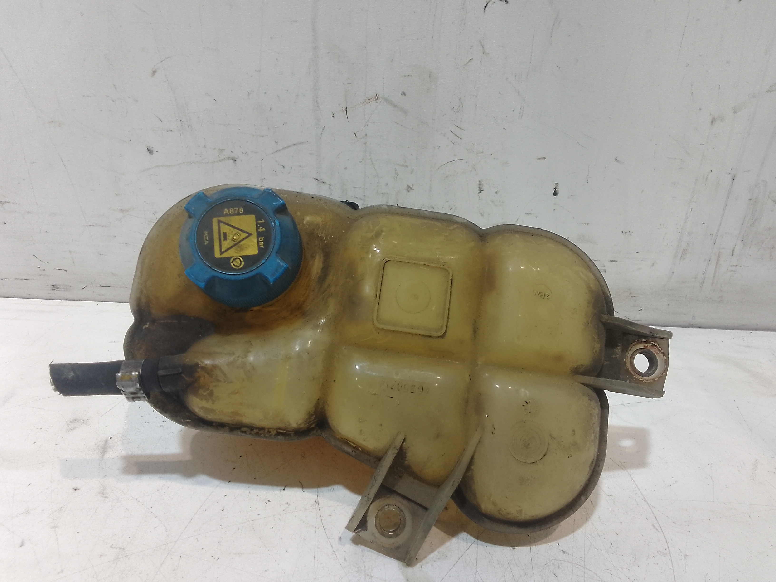 Vaschetta Compensazione Radiatore 51778218 Usato