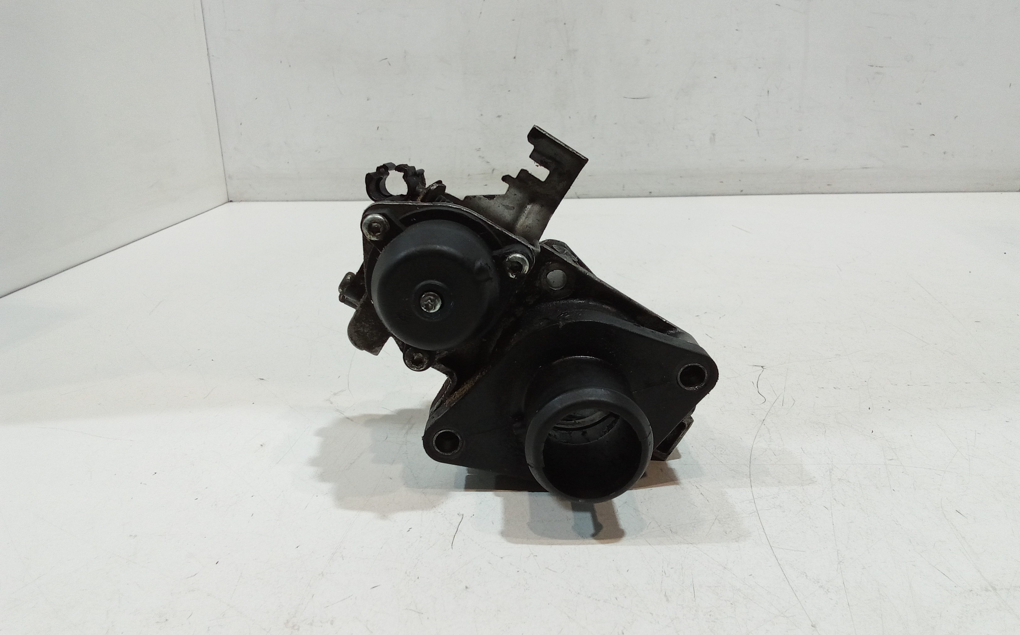 Corpo Farfallato 71788736 Usato