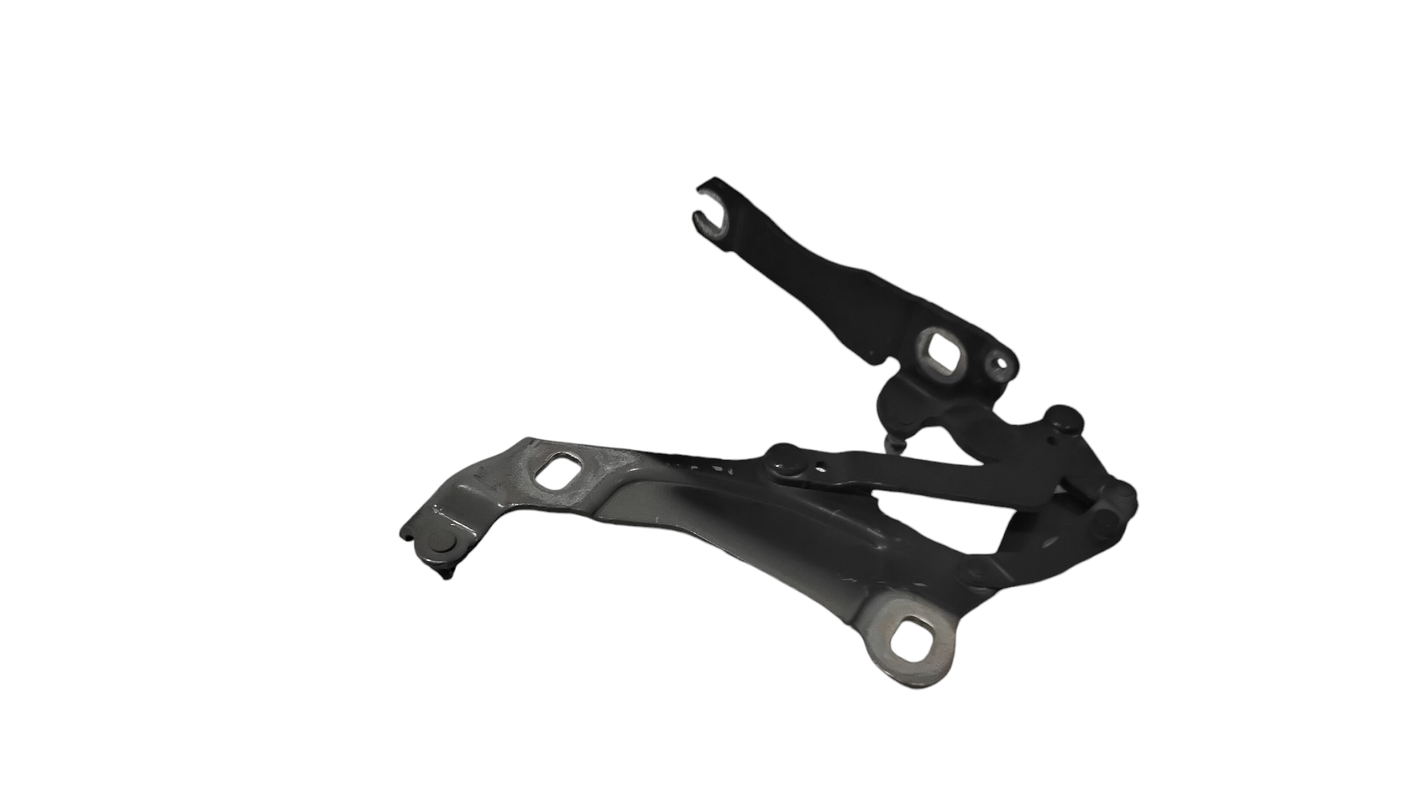 Cerniera Cofano Ant. Sinistro 41007370301 Usato