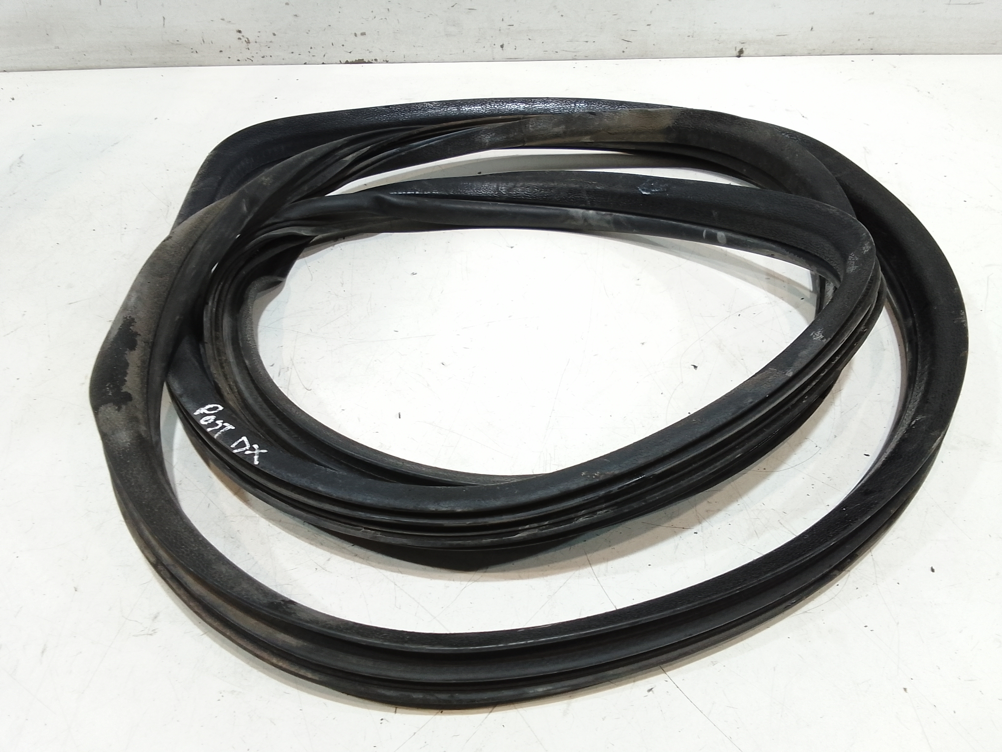 Guarnizione Porta Ant. Usato