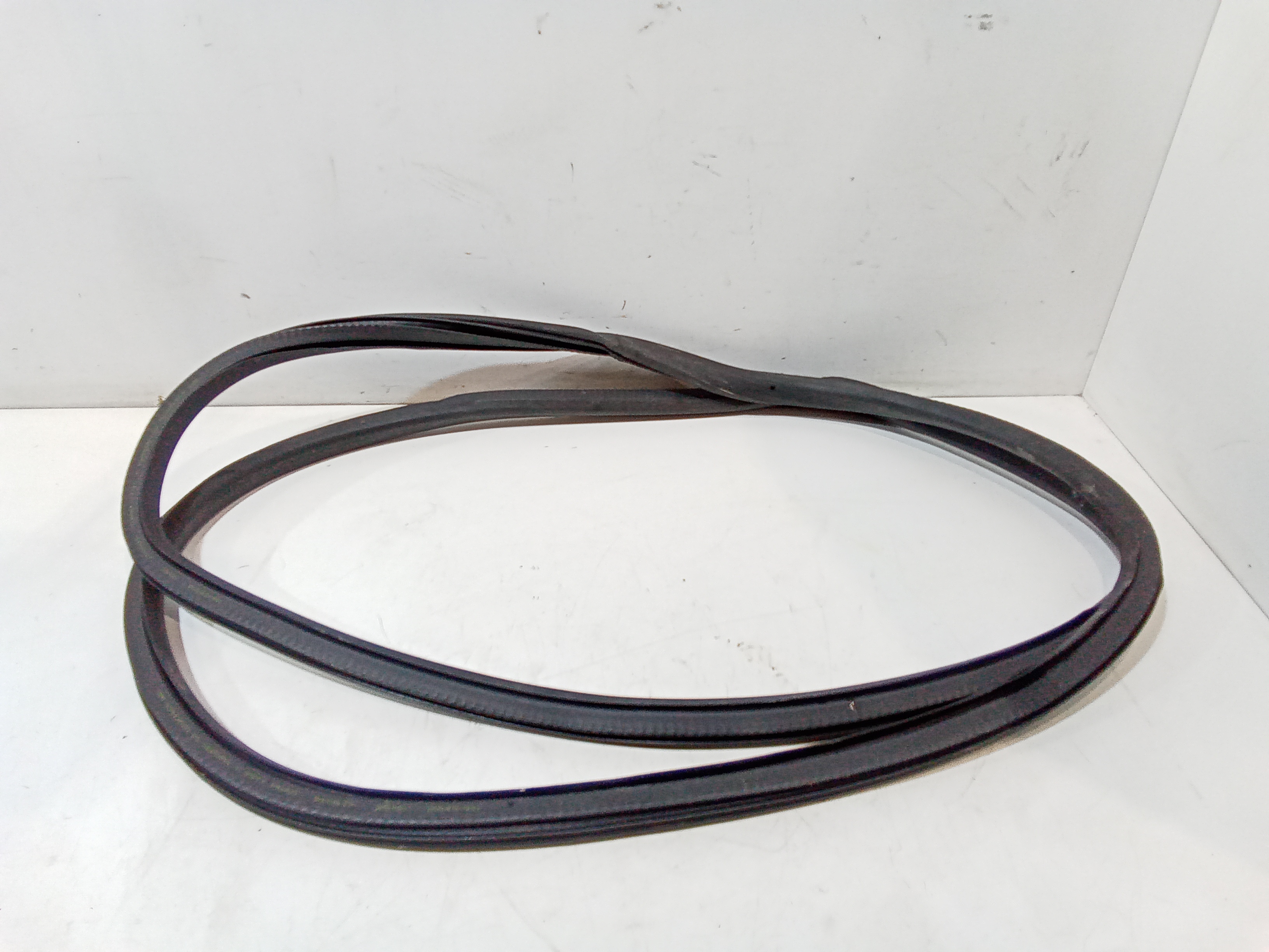 Guarnizione Porta Ant. Usato