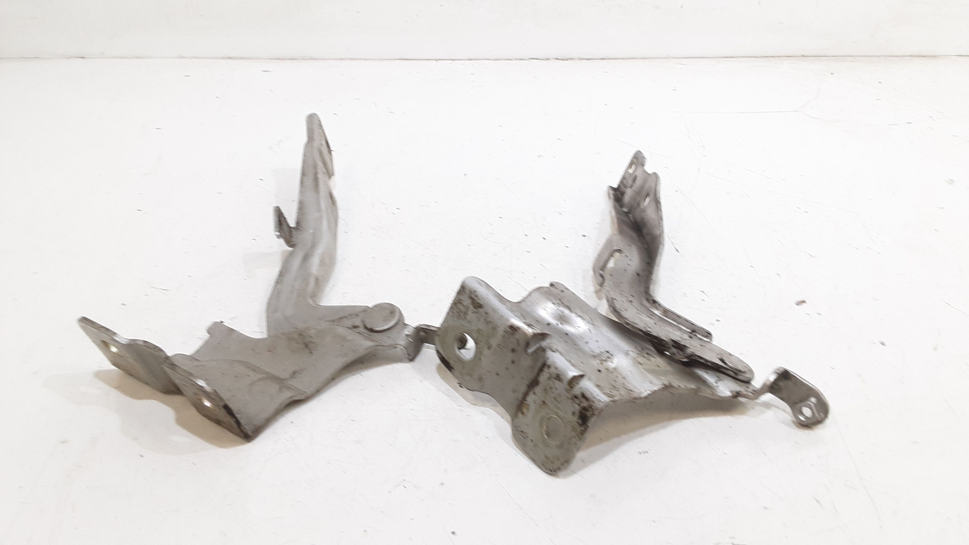 Cerniera Cofano Ant. Sinistro 791102P000 Usato