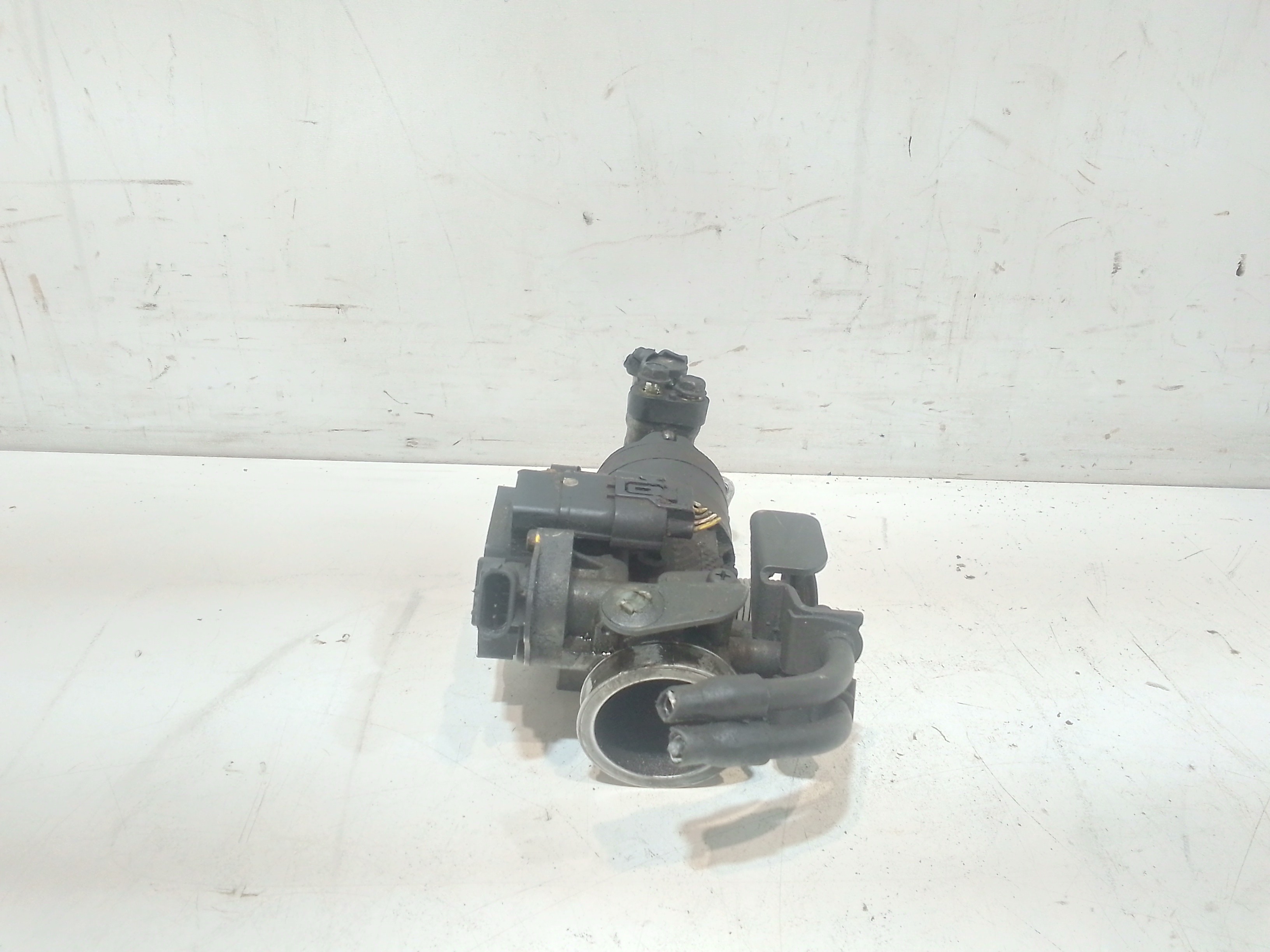 Corpo Farfallato Usato