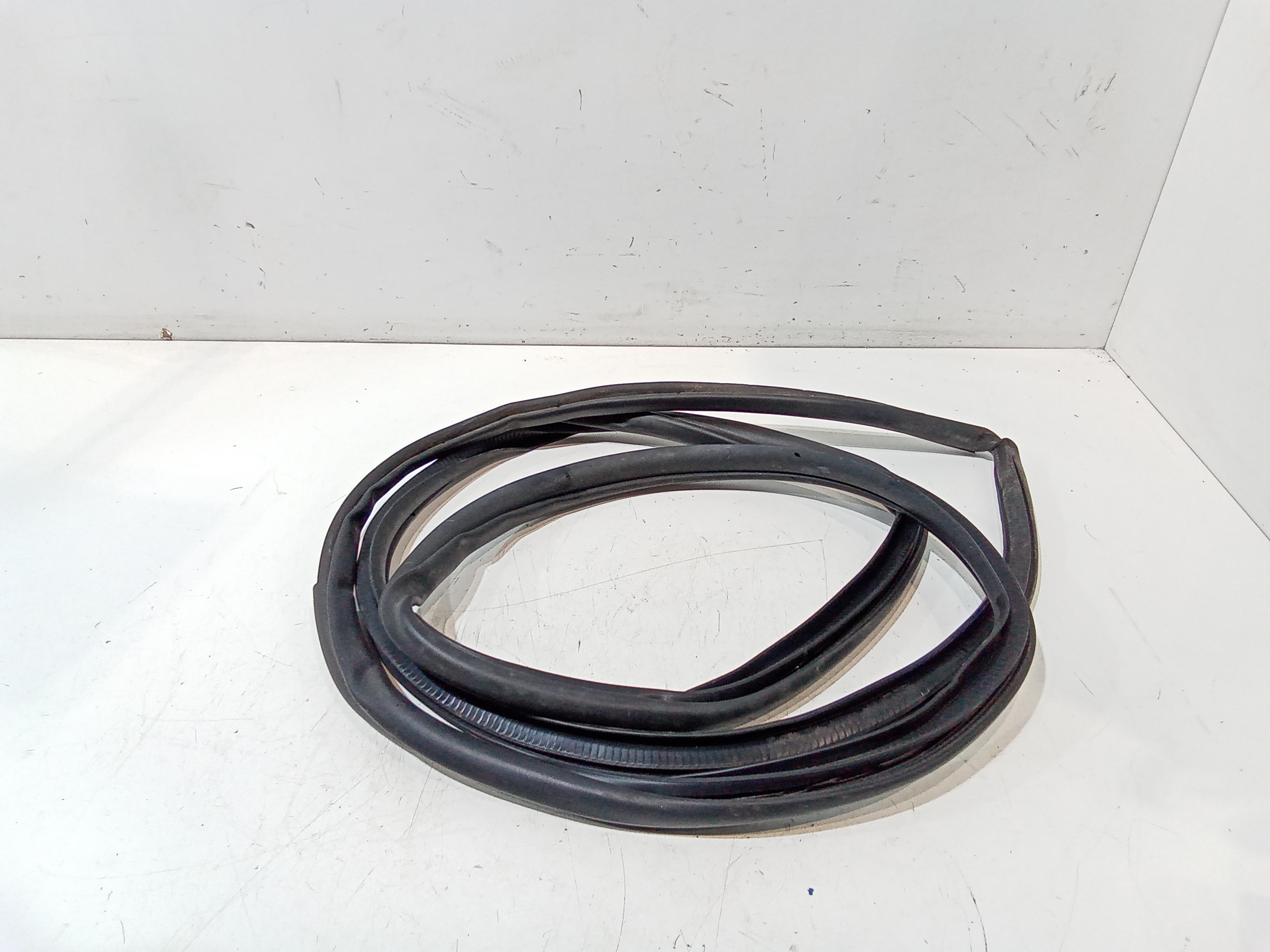 Guarnizione Porta Ant. Usato