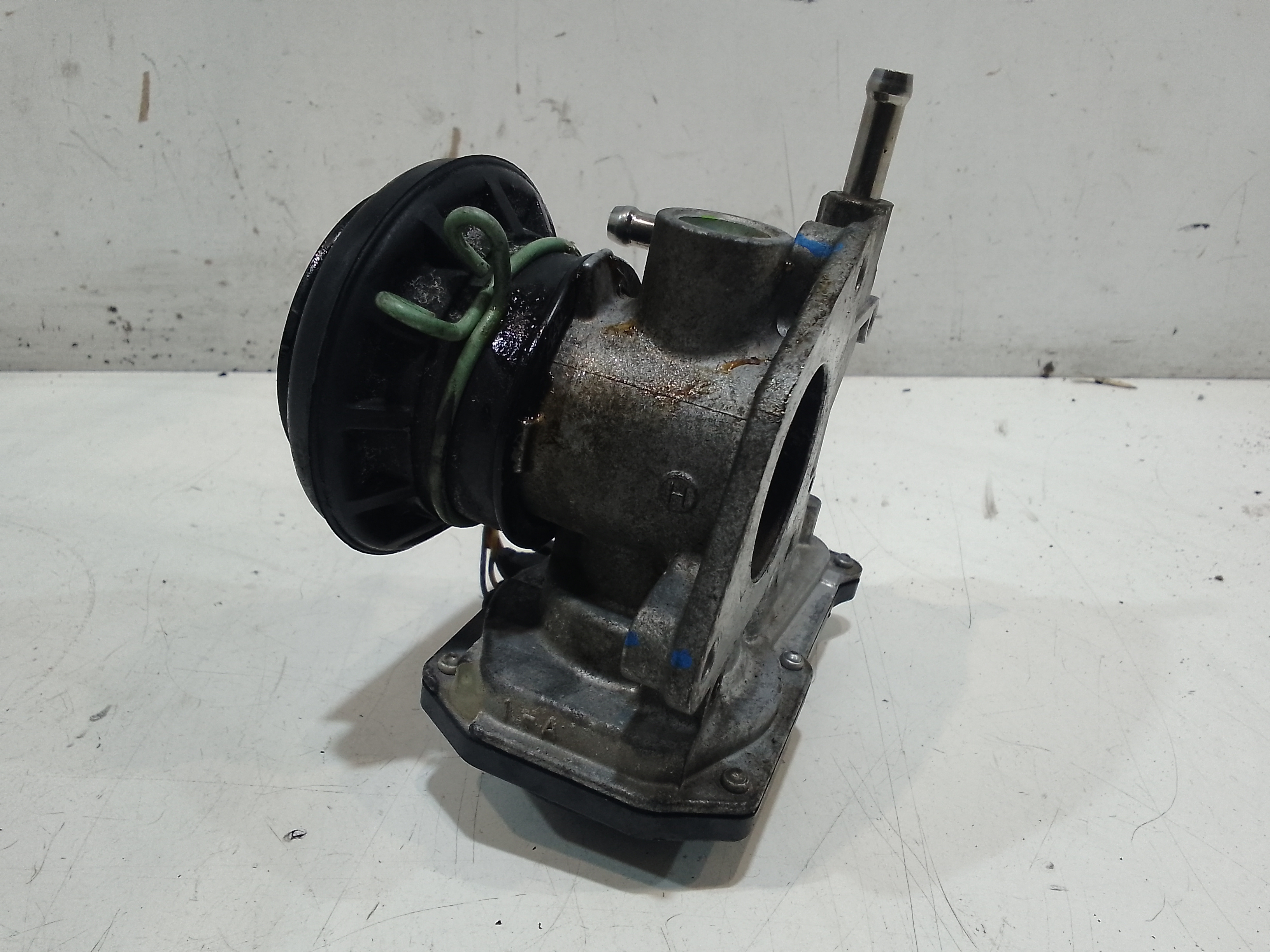 Corpo Farfallato Usato