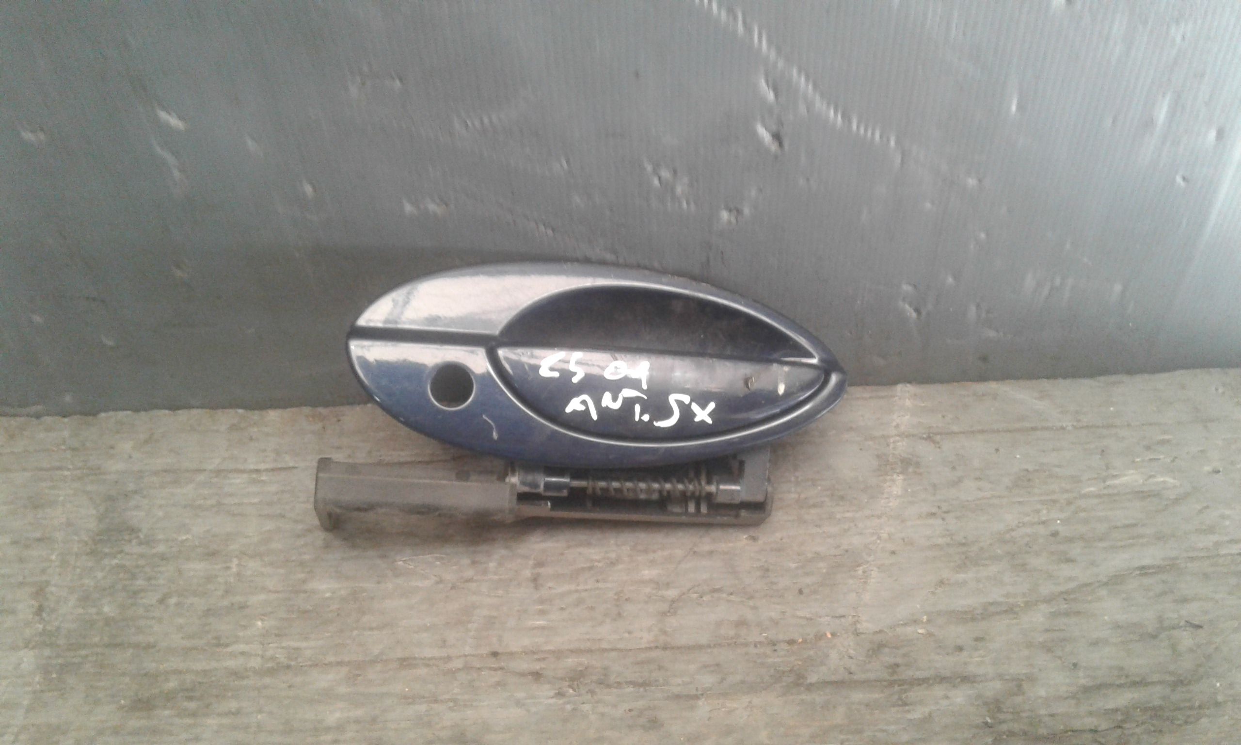 Maniglia Porta Ant. Sinistro 9101Q9 Usato