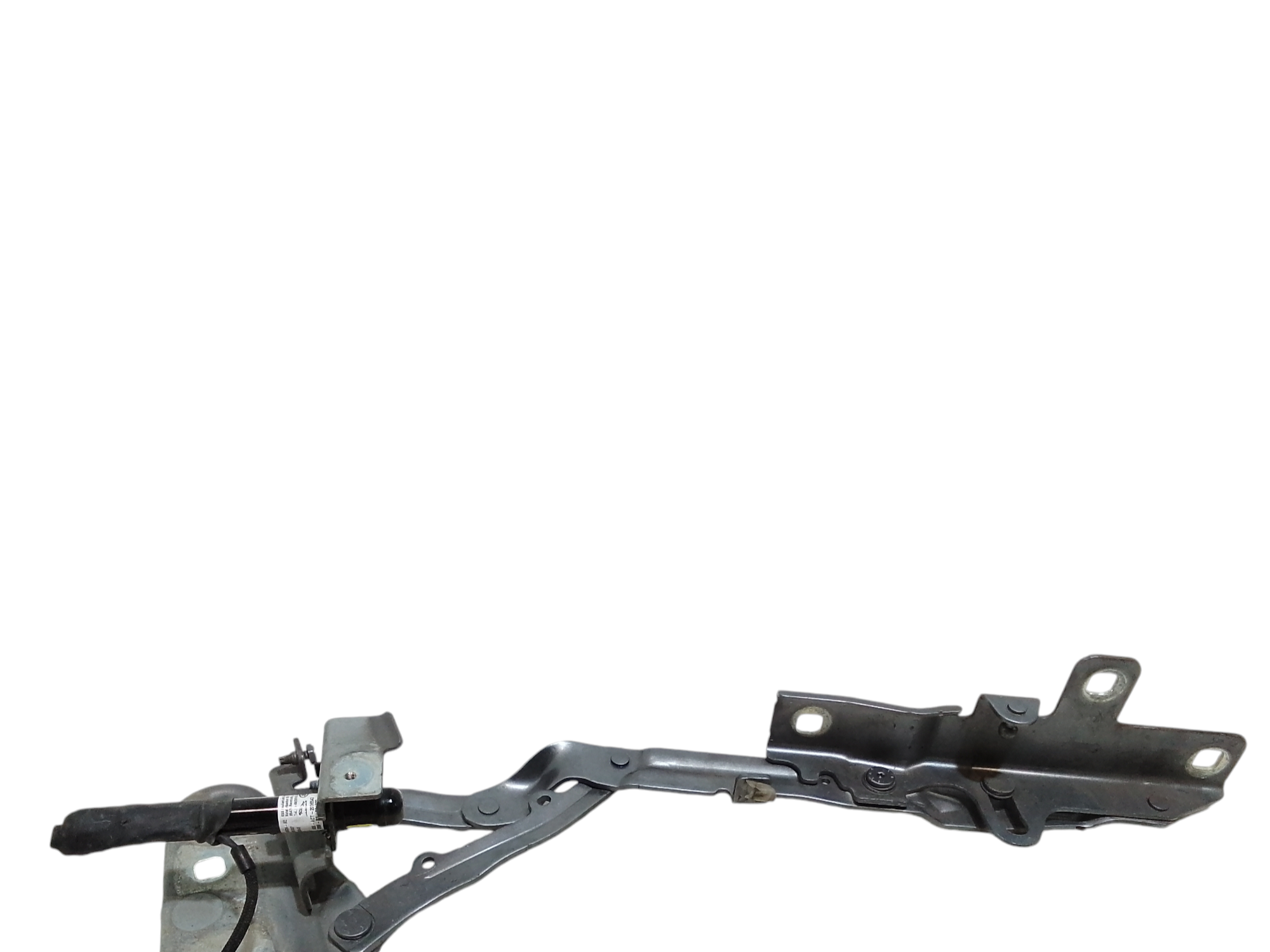 Cerniera Cofano Ant. Sinistro LR117305 Usato