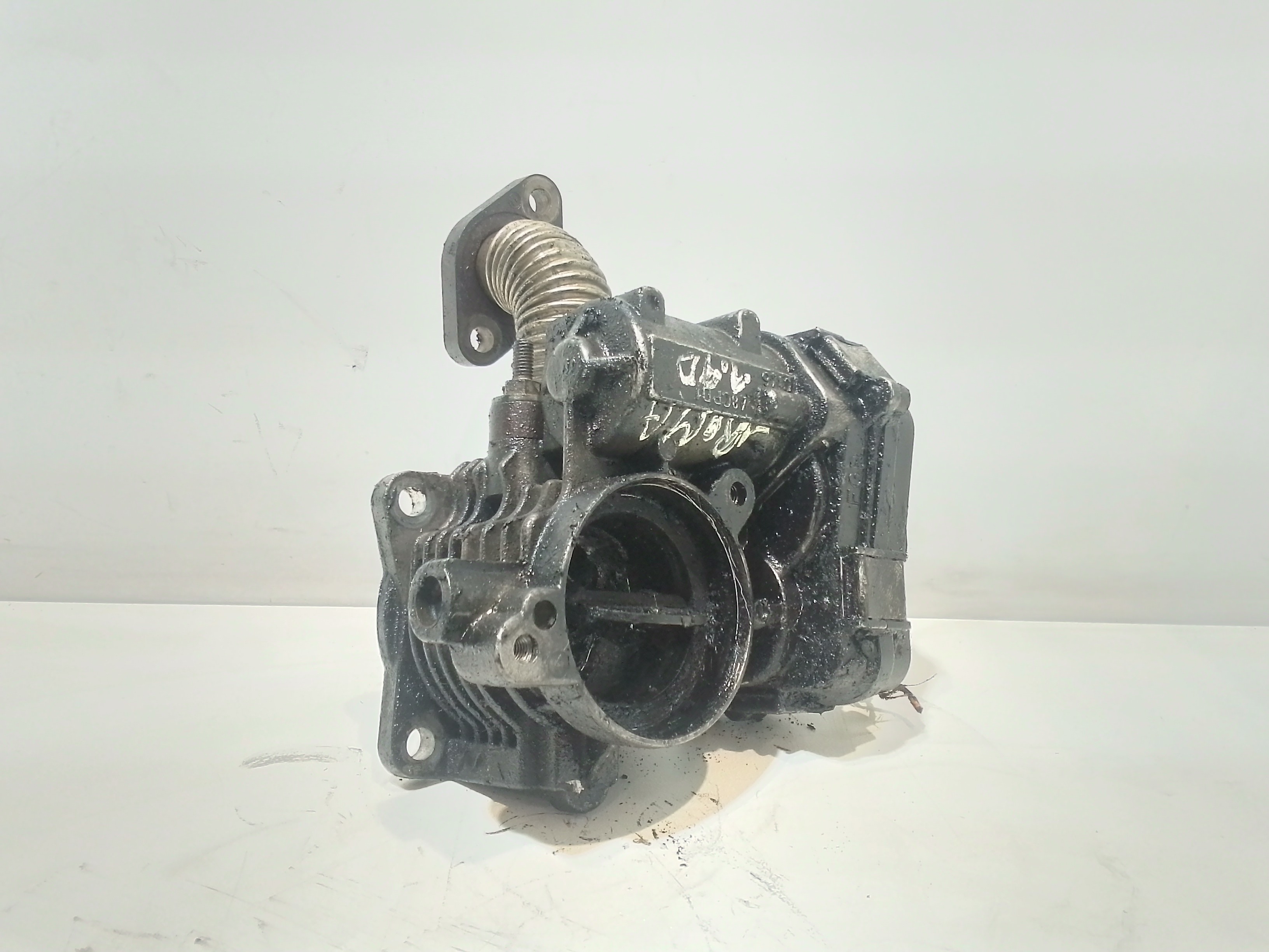 Corpo Farfallato 71744412 Usato