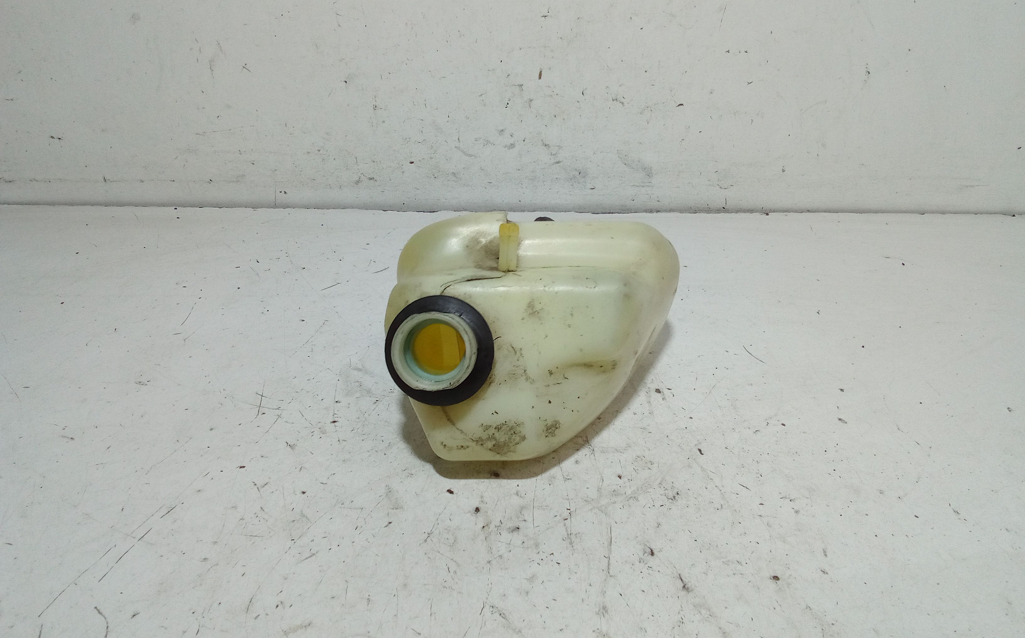 Vaschetta Compensazione Radiatore Usato